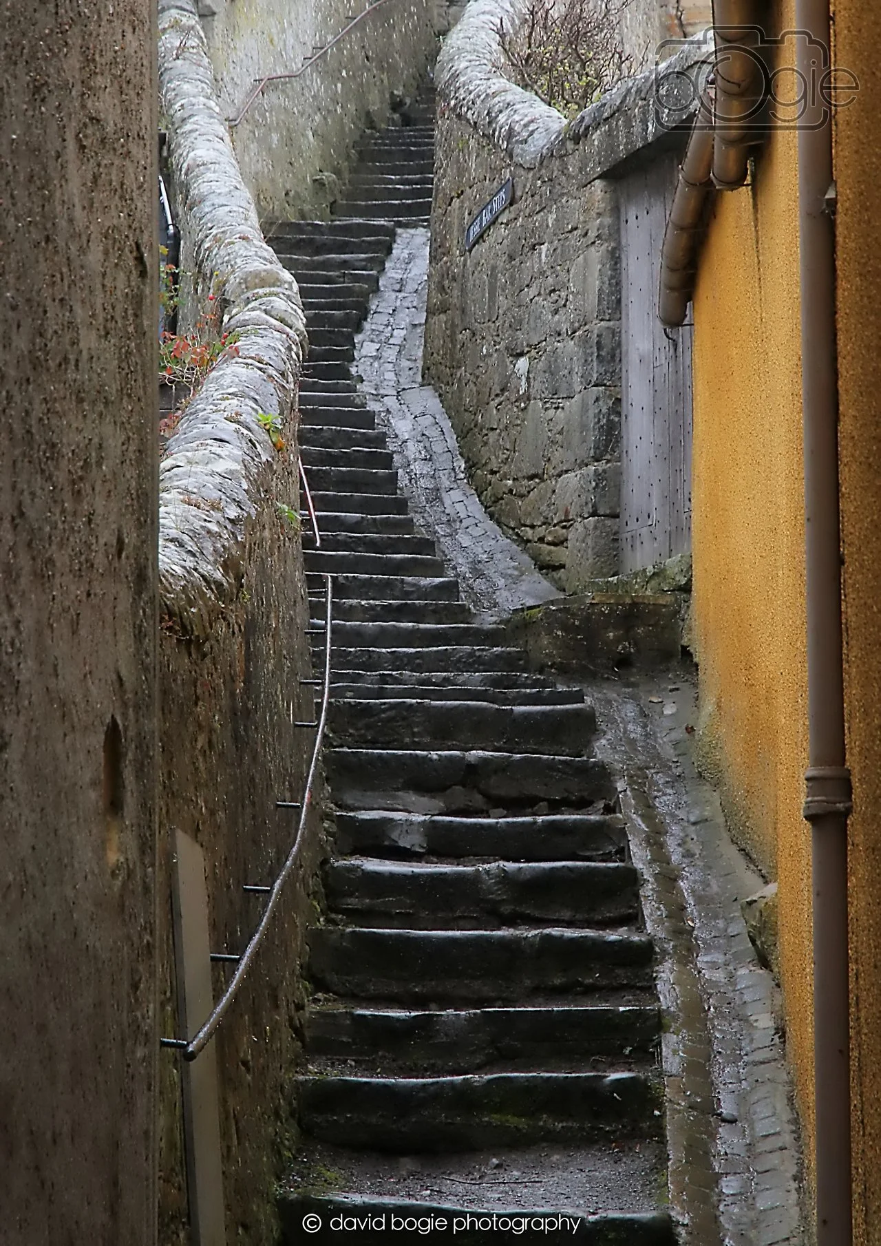 20260401 131404 Culross 0249.jpg