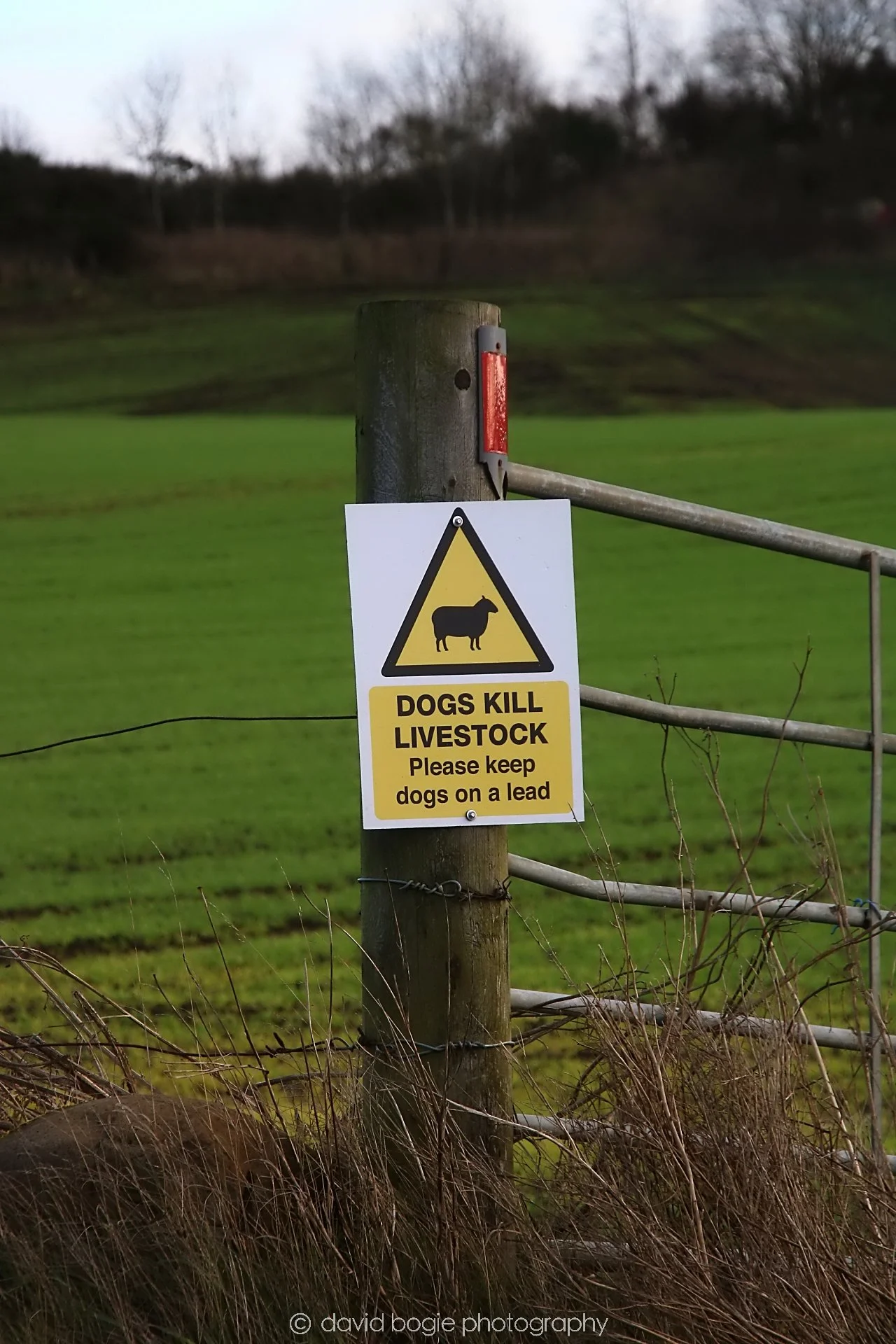 YEAR20241127 131603 Cardenden 0260.jpg