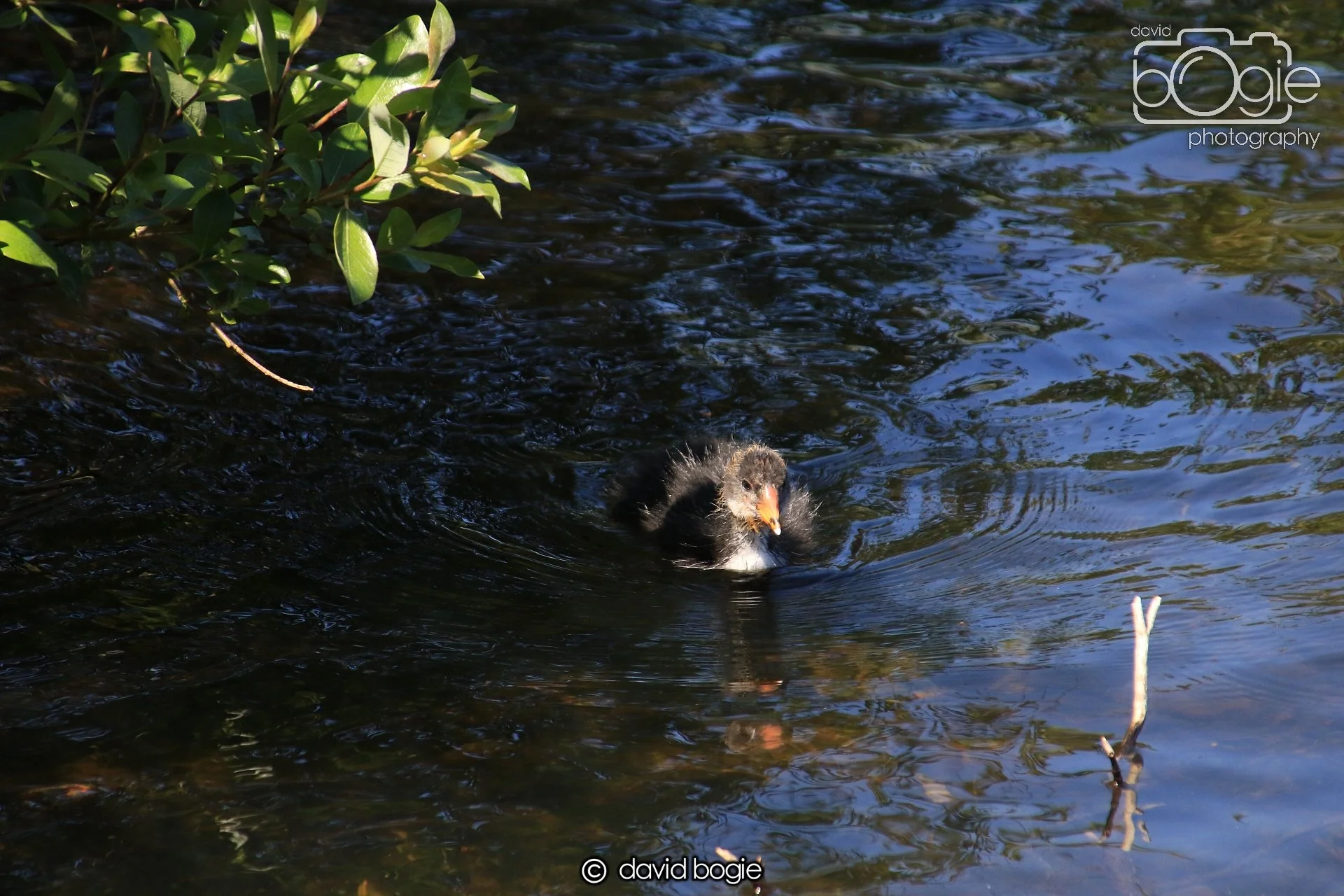 20250517 124224 Beveridge Park 0533.JPG