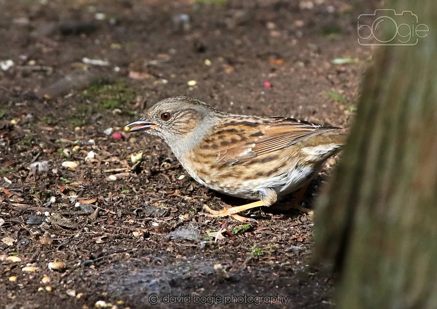 20260322 144514 Dunnikier 0139.jpg