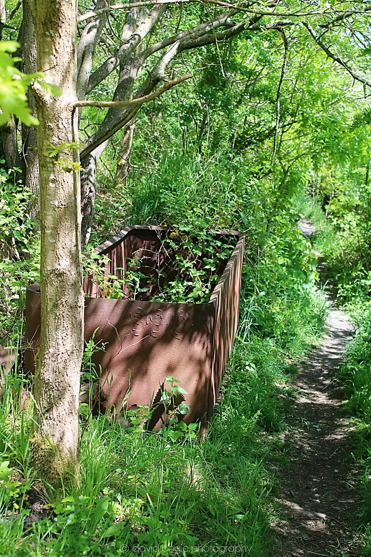 20200526 123730 Cardenden 0059.jpg