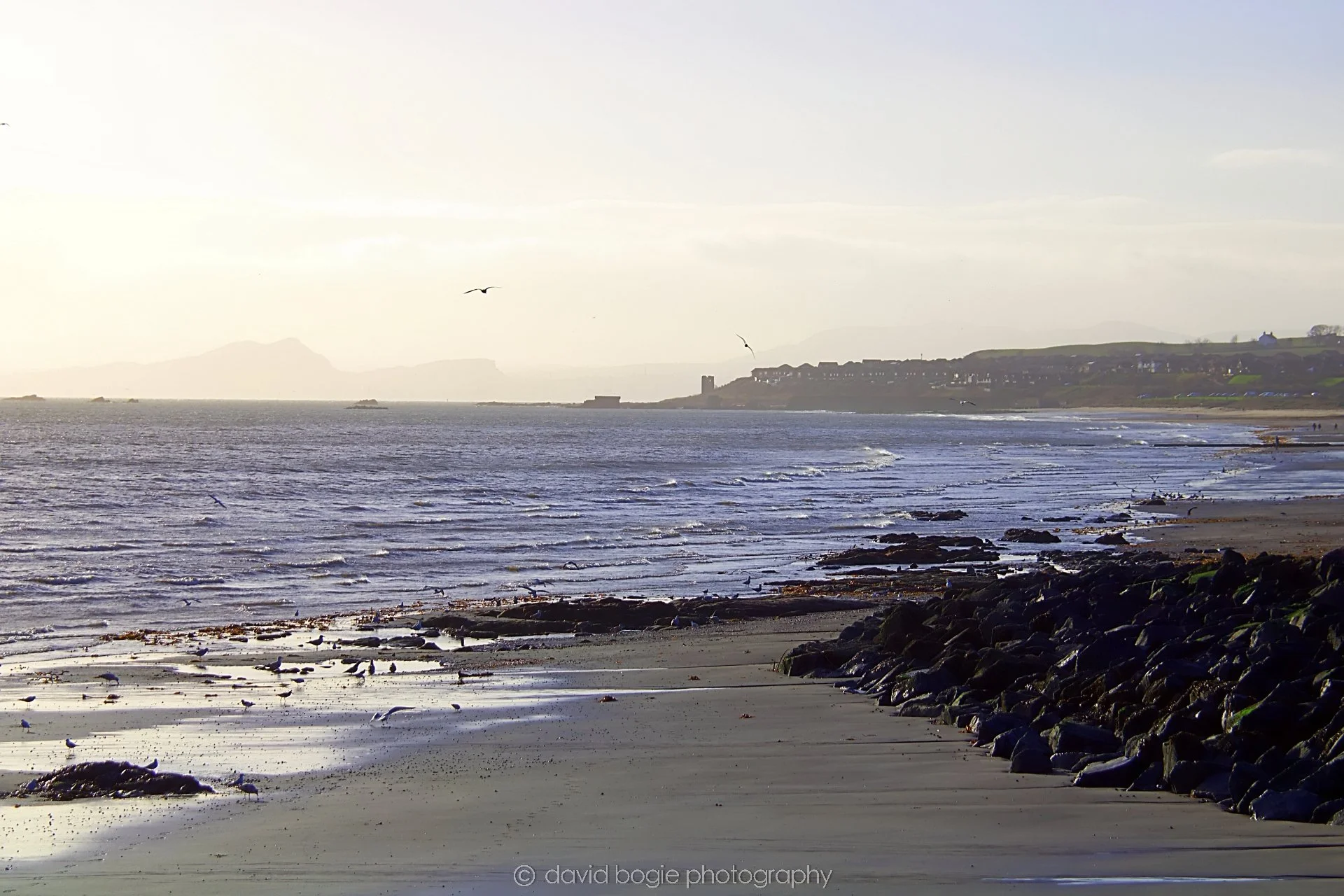 YEAR20221125 Kirkcaldy 14 .jpg