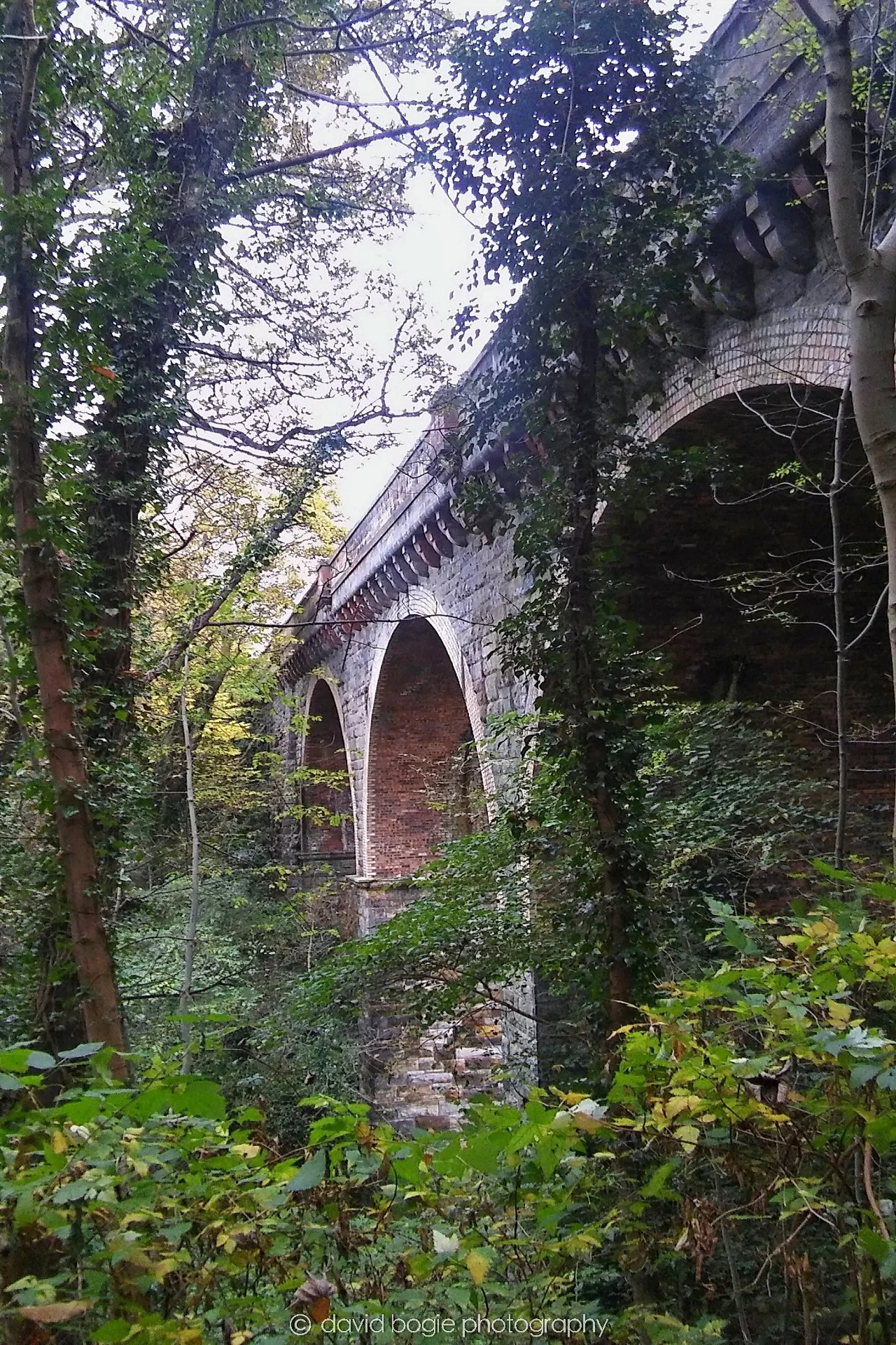 20161027 094330 Kirkcaldy 0010.jpg