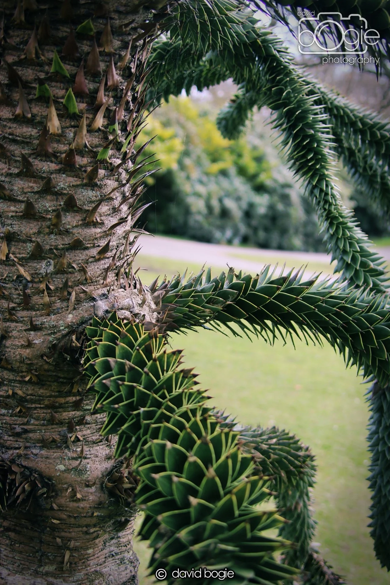 20210410 Beveridge (28) .jpg