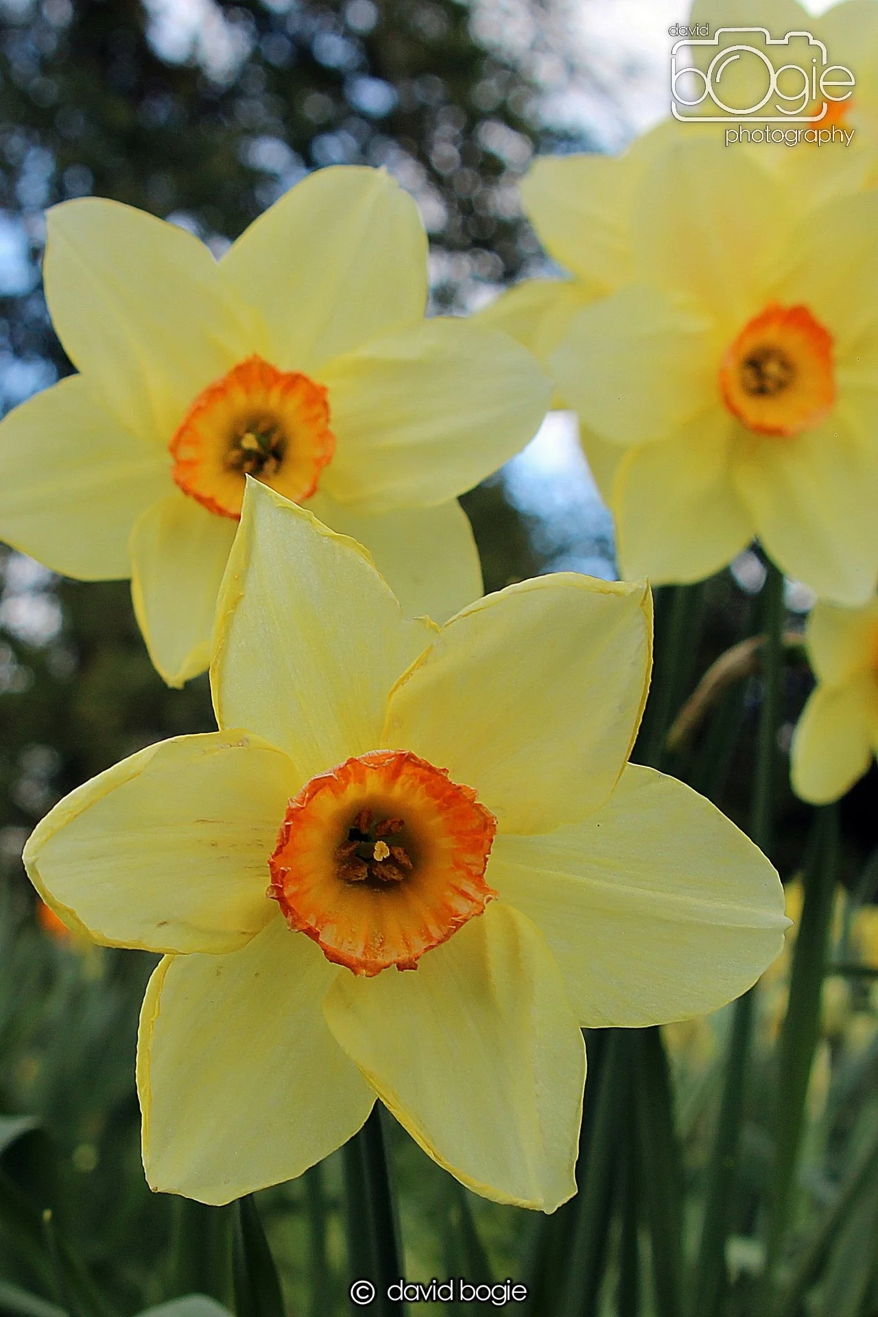 20210410 Beveridge (32) .jpg