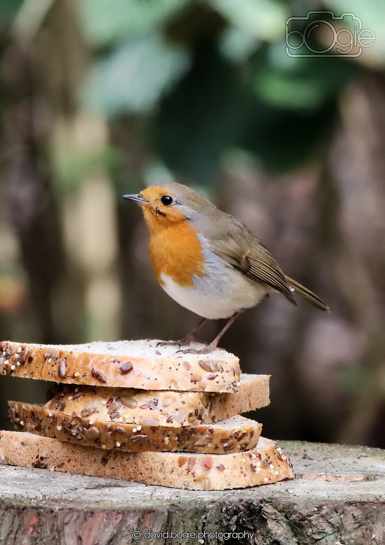 20260330 111852 Dunnikier 0094.jpg