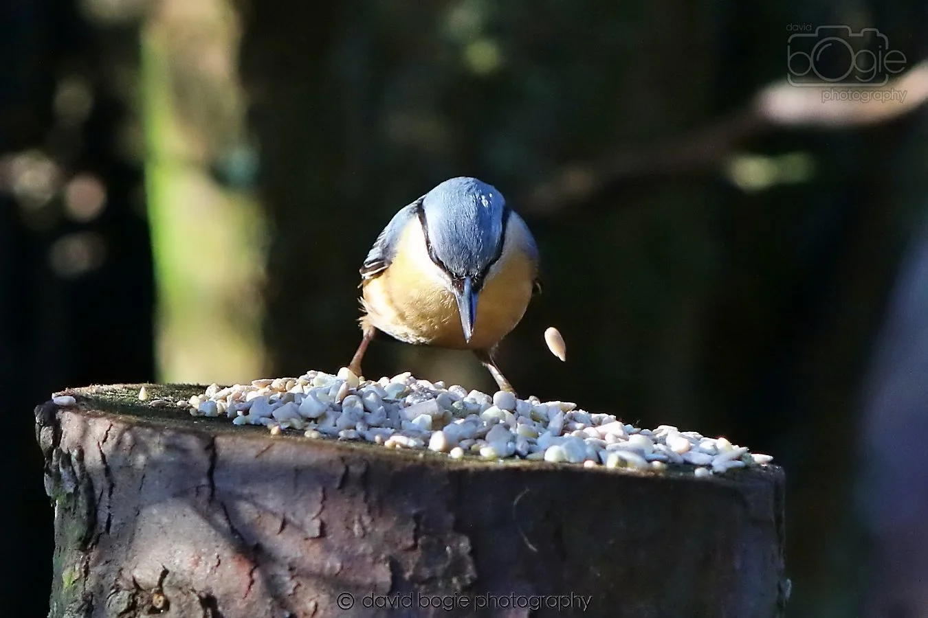 20260128 130124 Dunnikier 0126.jpg