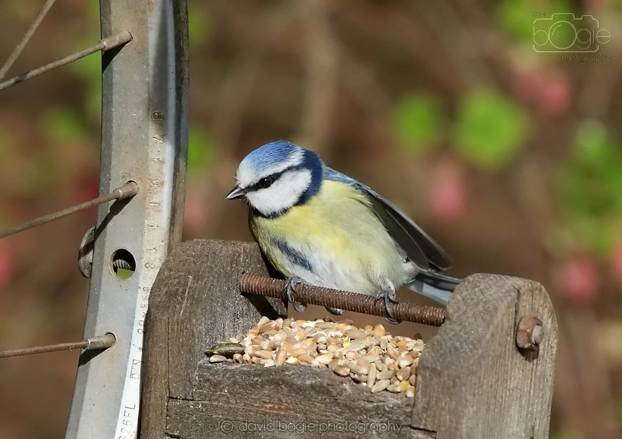 20260314 144427 Silverburn 0362.jpg