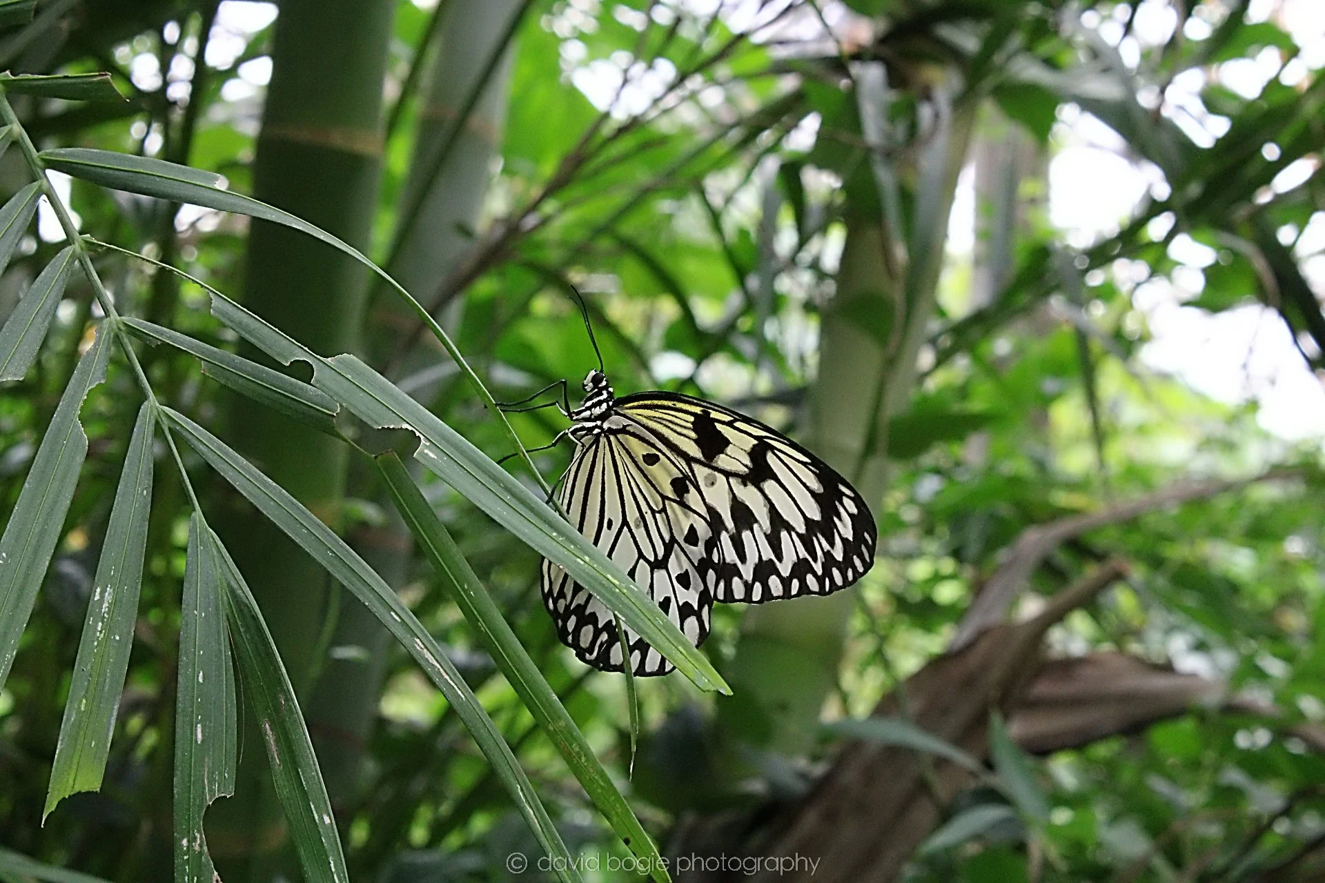 20191019 131901 Butterfly World 0043.jpg