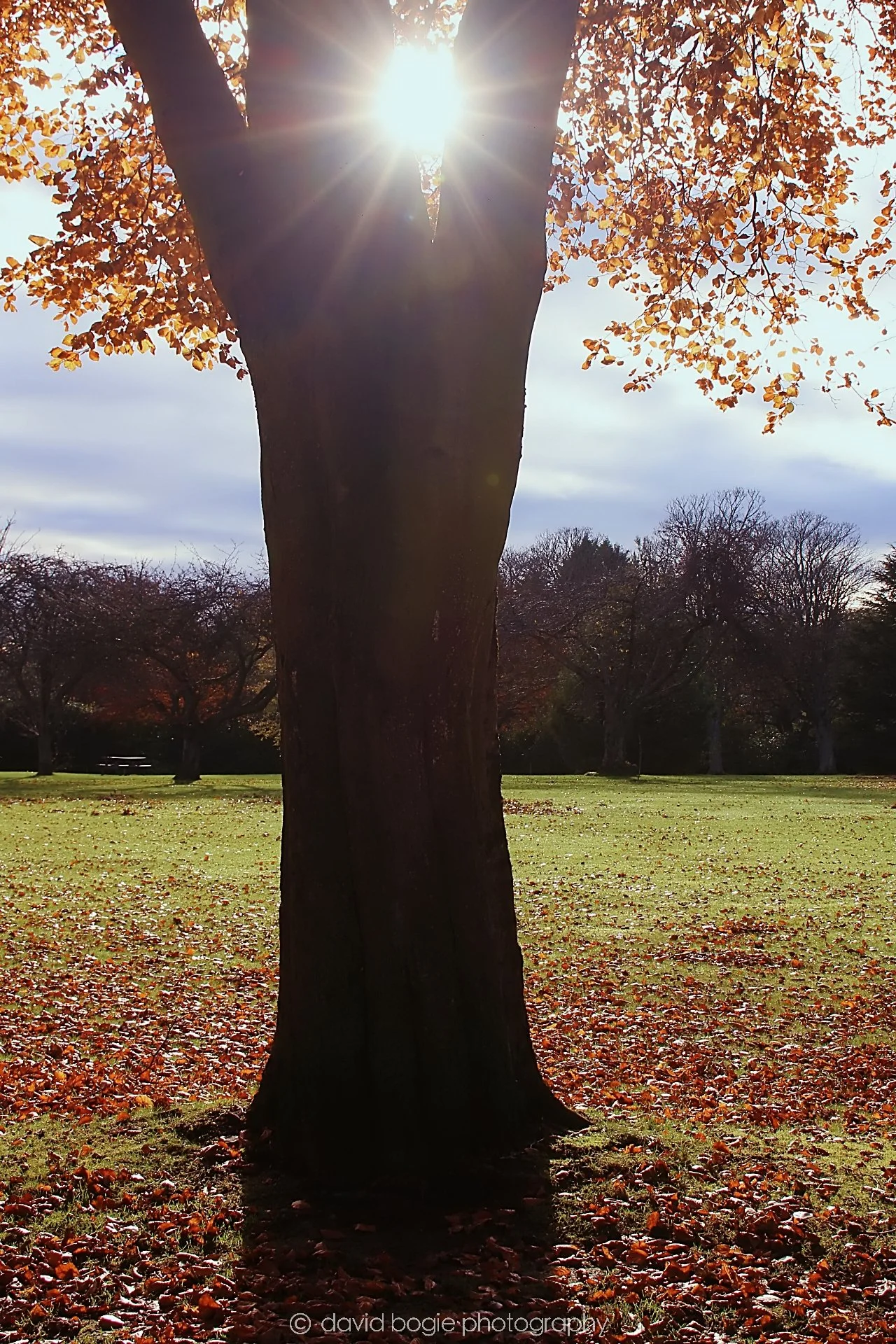 YEAR20231107 Beveridge Park 0273.jpg
