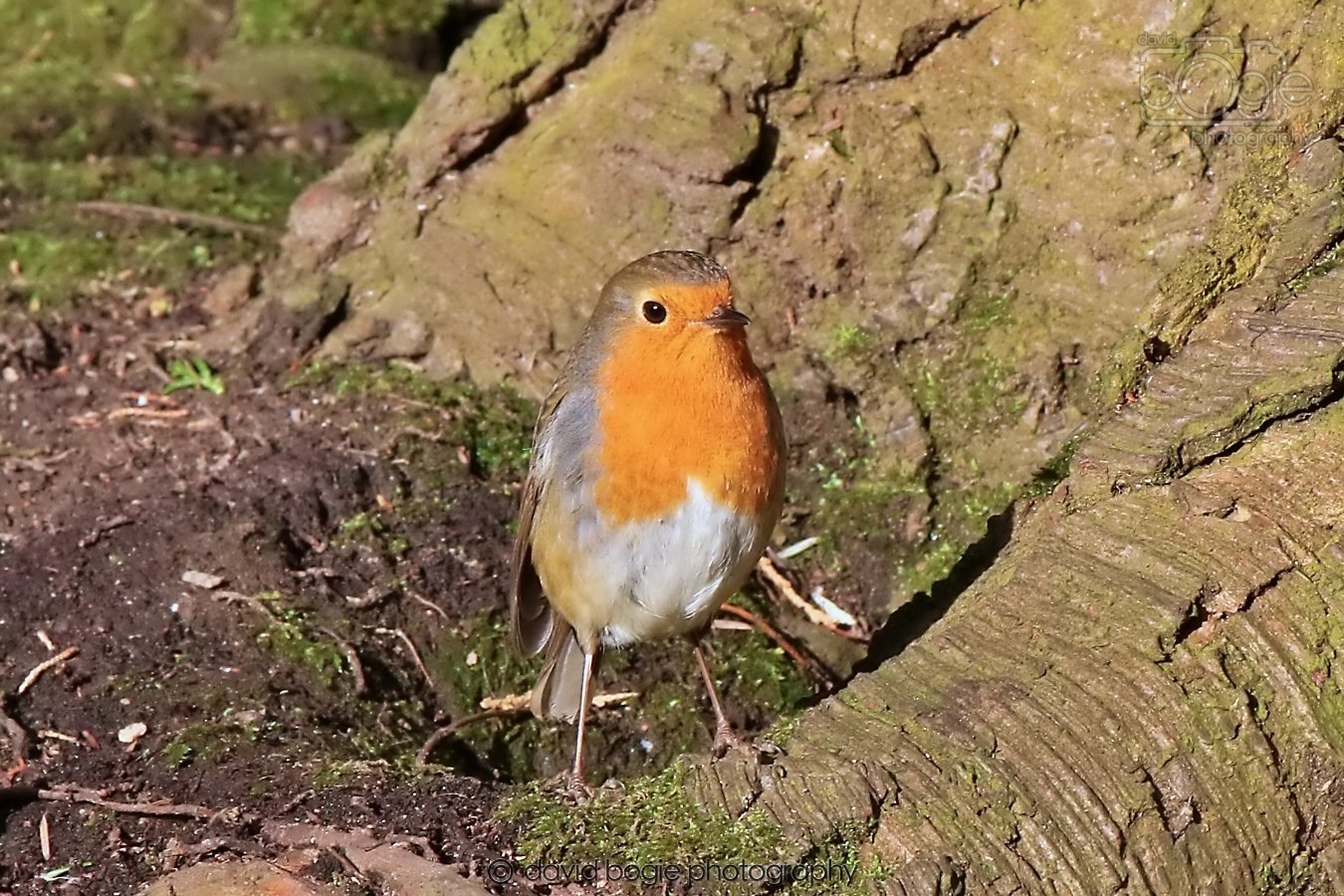 20260128 134447 Dunnikier 0274.jpg