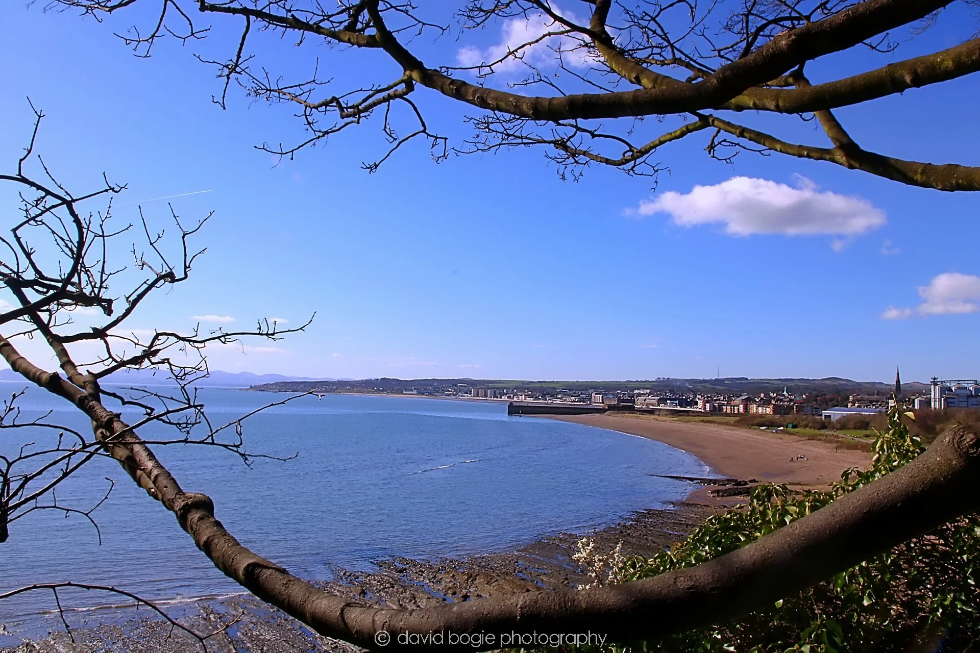 YEAR20230327 Kirkcaldy IMG_0019.jpg