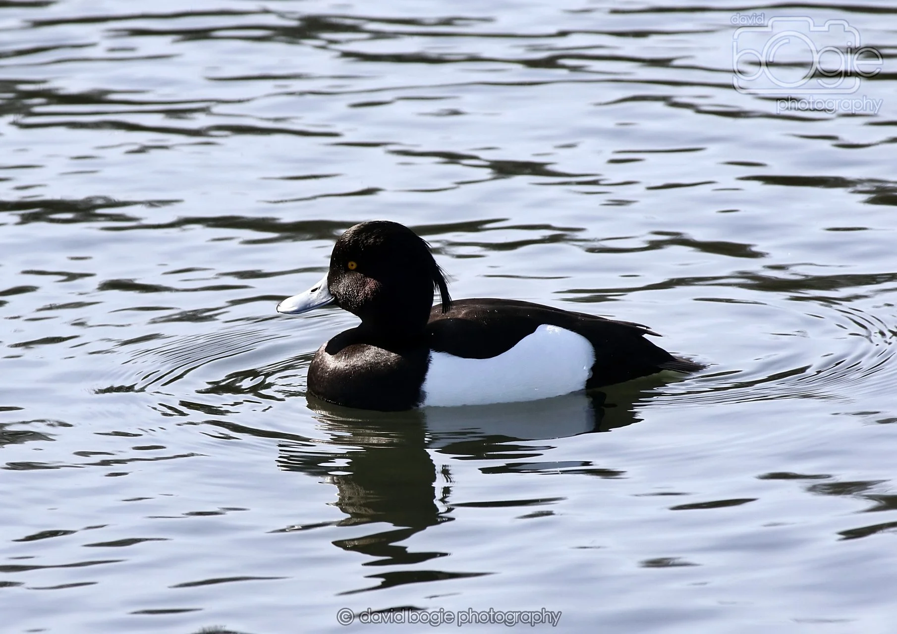 20260319 133039 Beveridge Park 0450.jpg