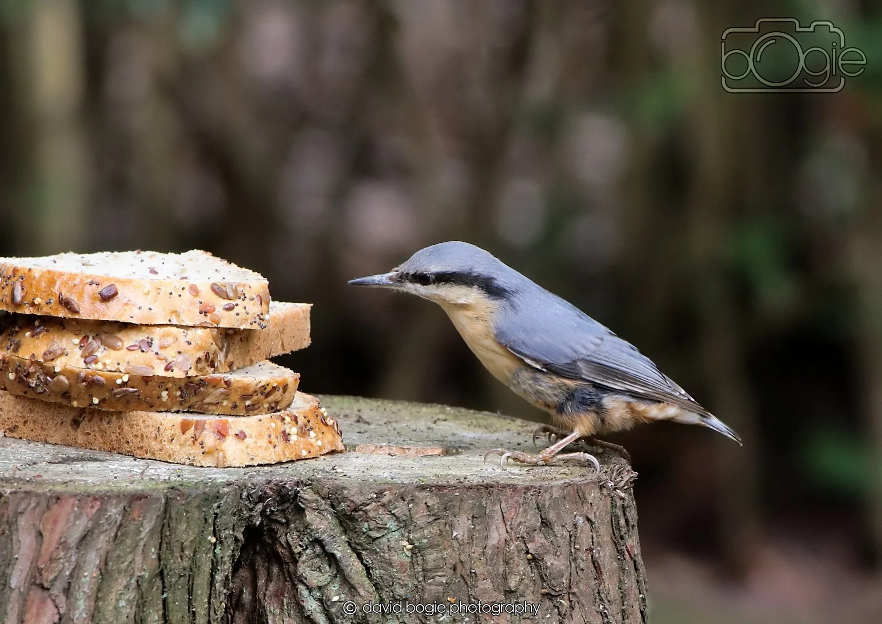 20260330 112007 Dunnikier 0109.jpg