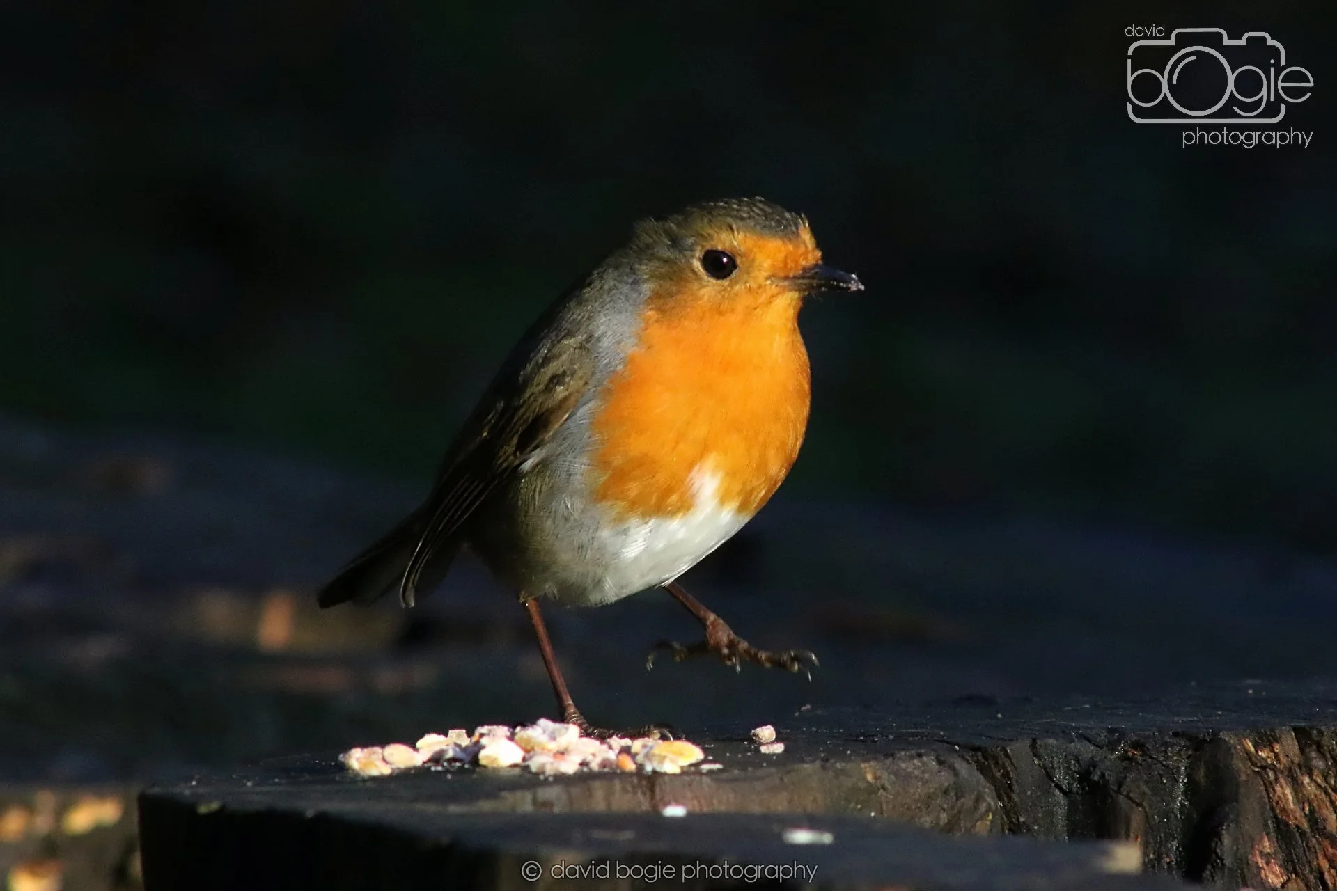 20251125 142721 Silverburn 0703.JPG