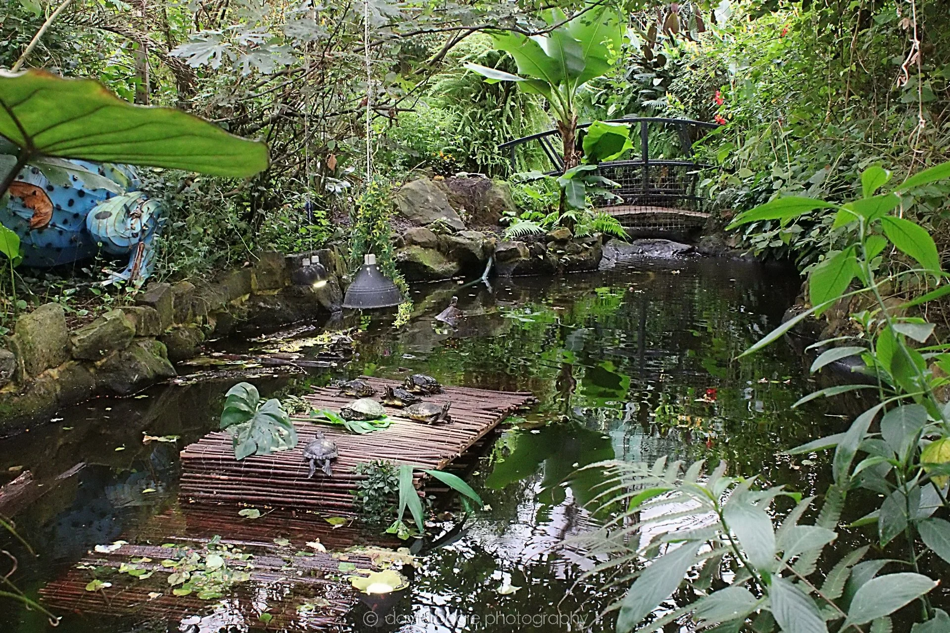 20191019 125545 Butterfly World 0029.jpg
