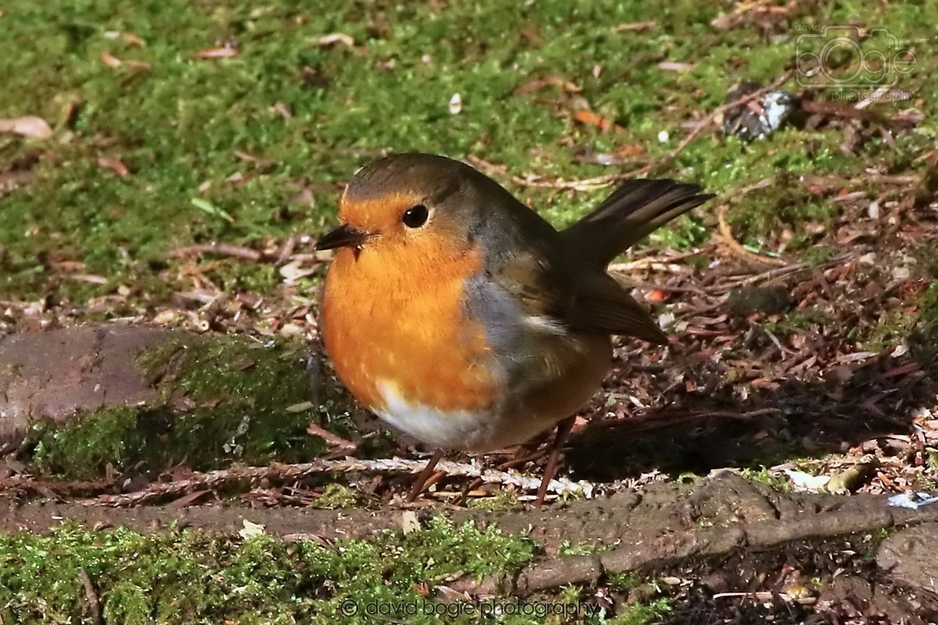 20260128 133741 Dunnikier 0213.jpg