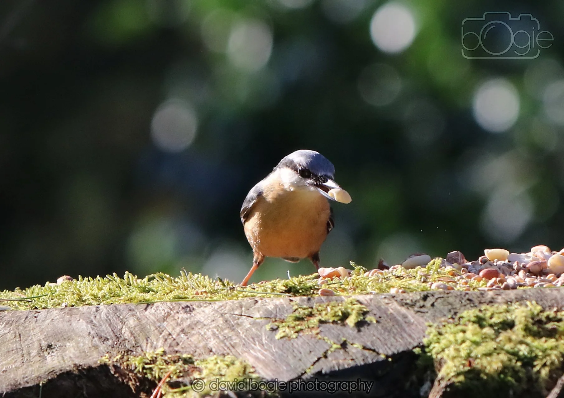 20260320 145511 Ravenscraig 0457.jpg