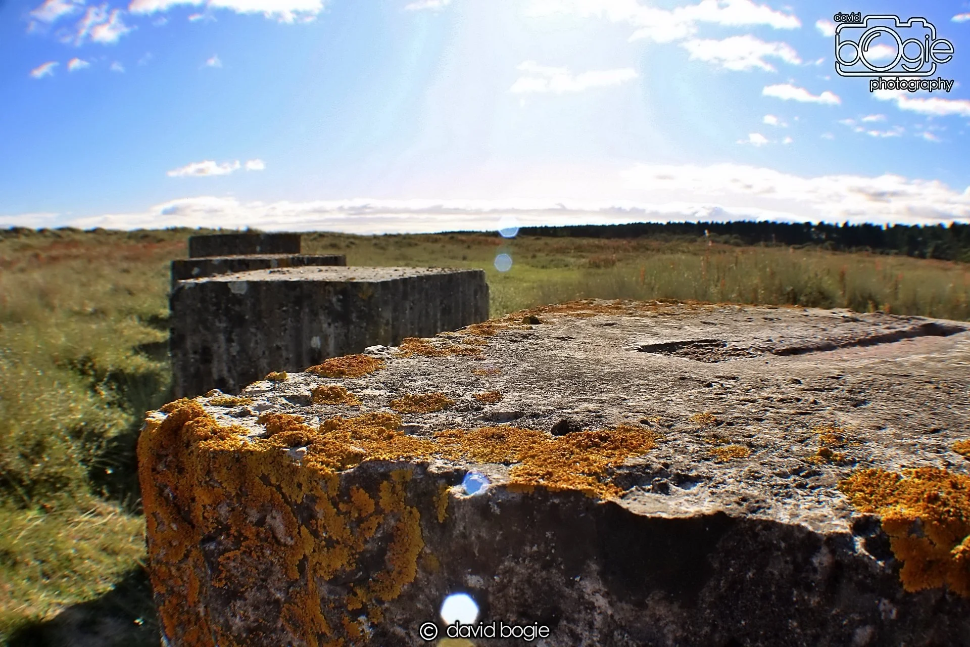 20191002 133548 Tentsmuir 0018.jpg