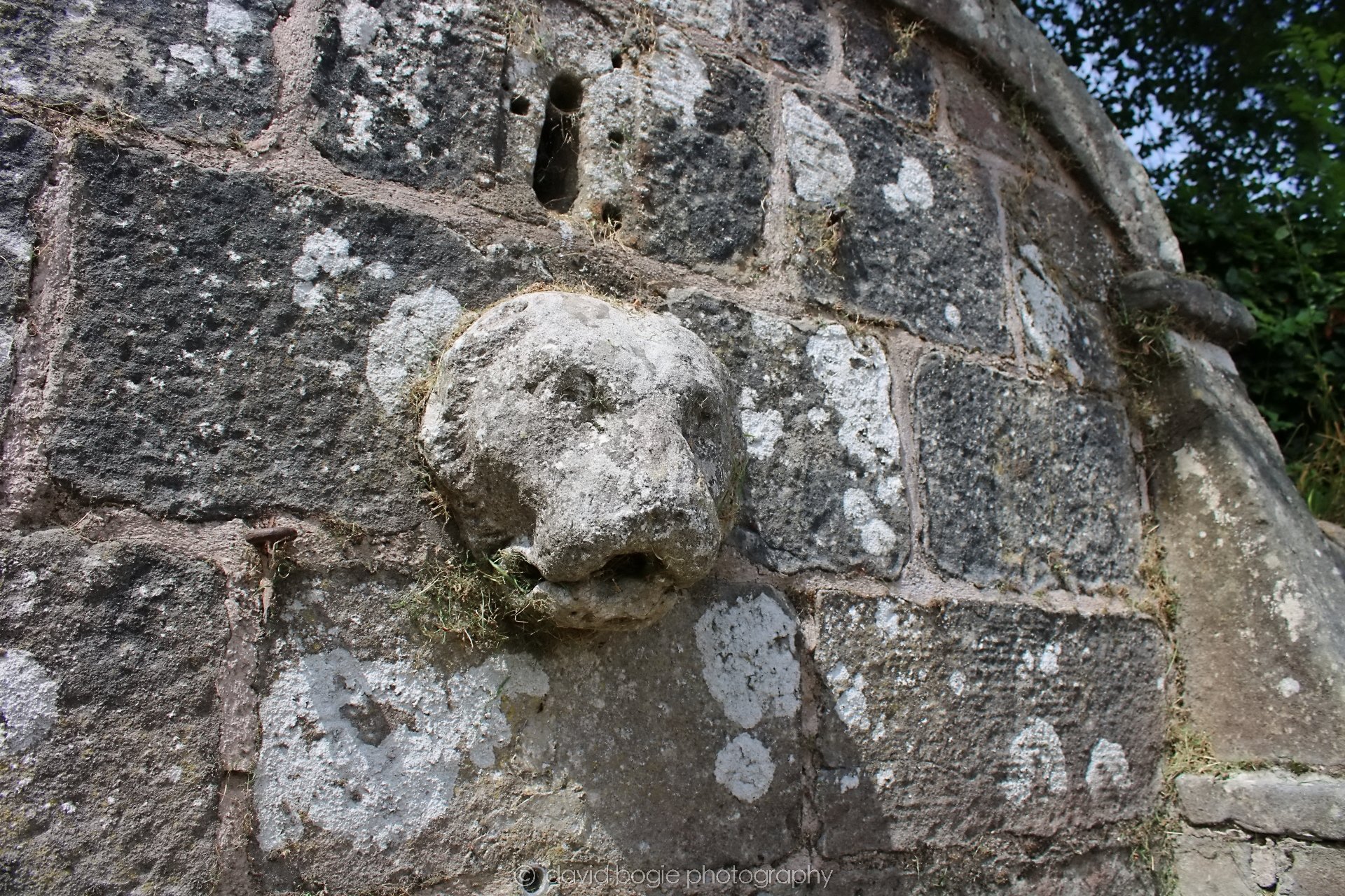20190708 124758 Muthill 0012.jpg