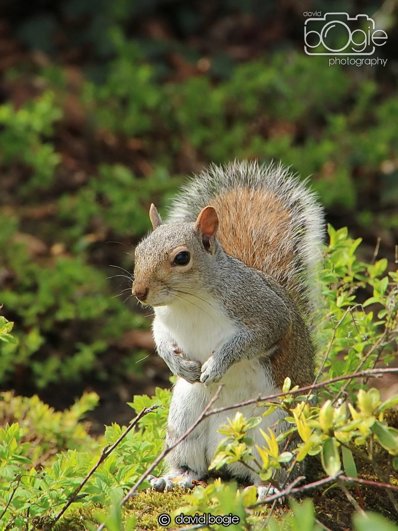 20240423 112726 Beveridge 0030.JPG