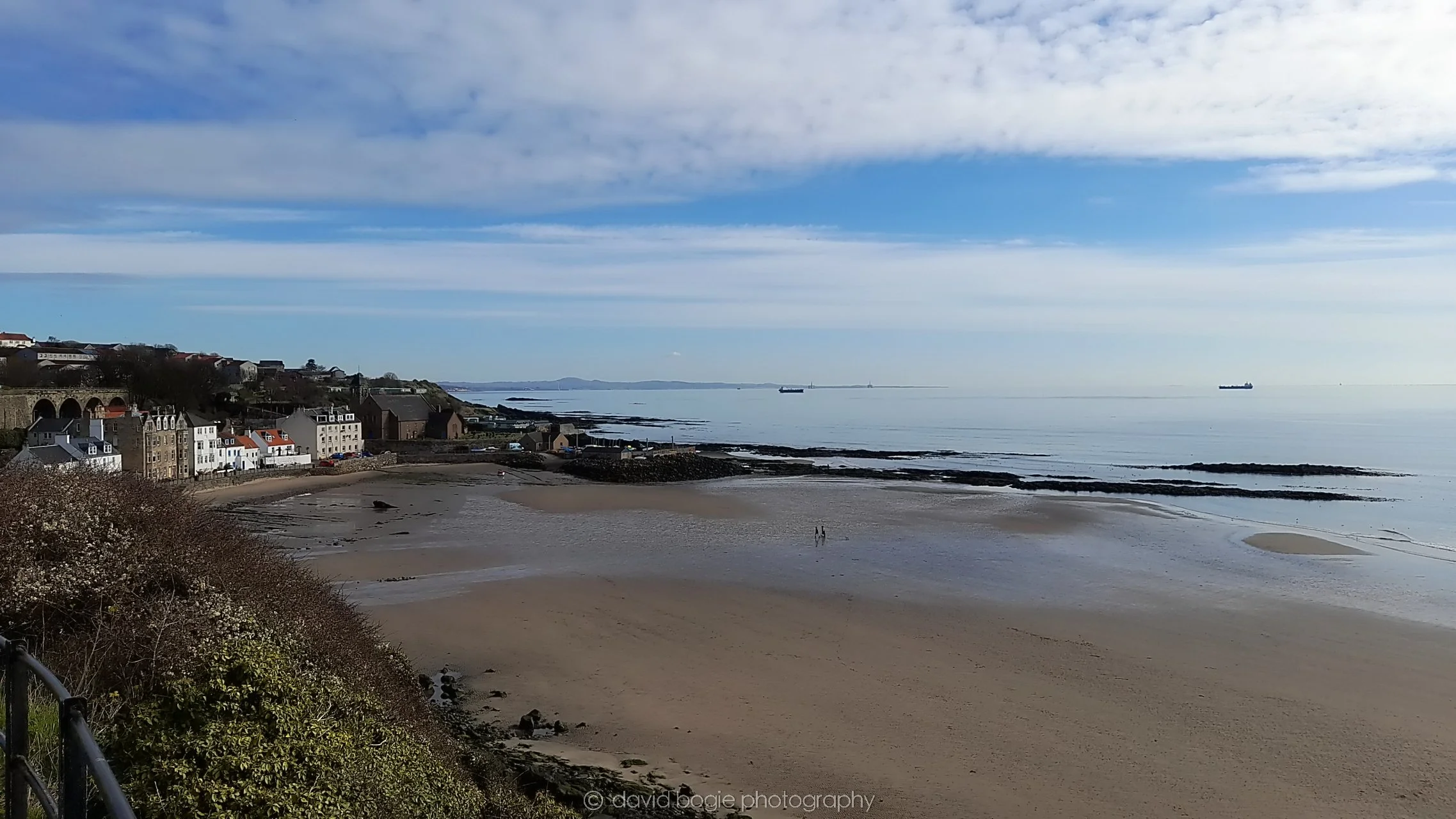 20210413 Kinghorn (6) .jpg