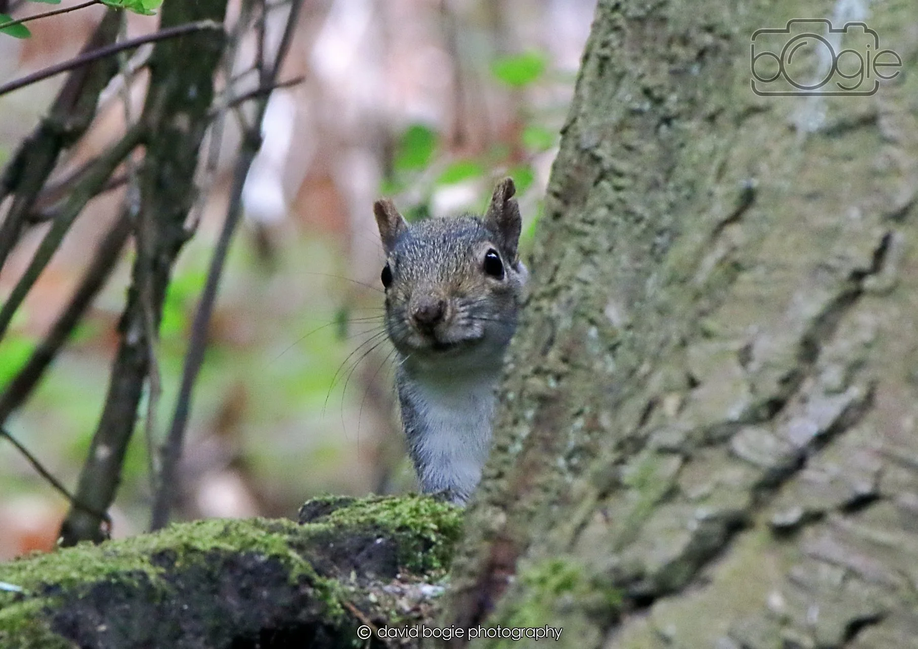 20260403 130459 Dunnikier 0356.jpg