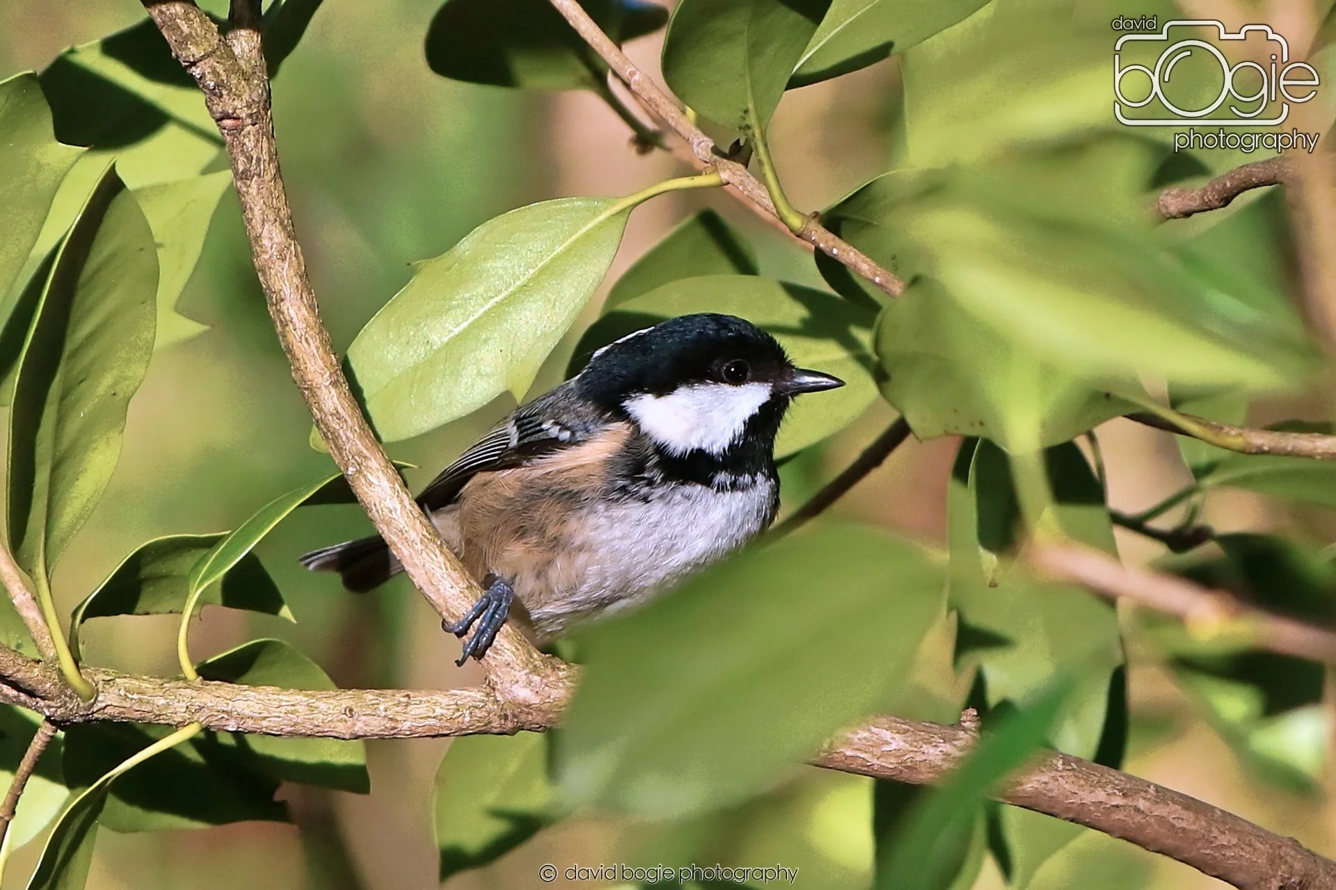 20260128 134726 Dunnikier 0291.JPG