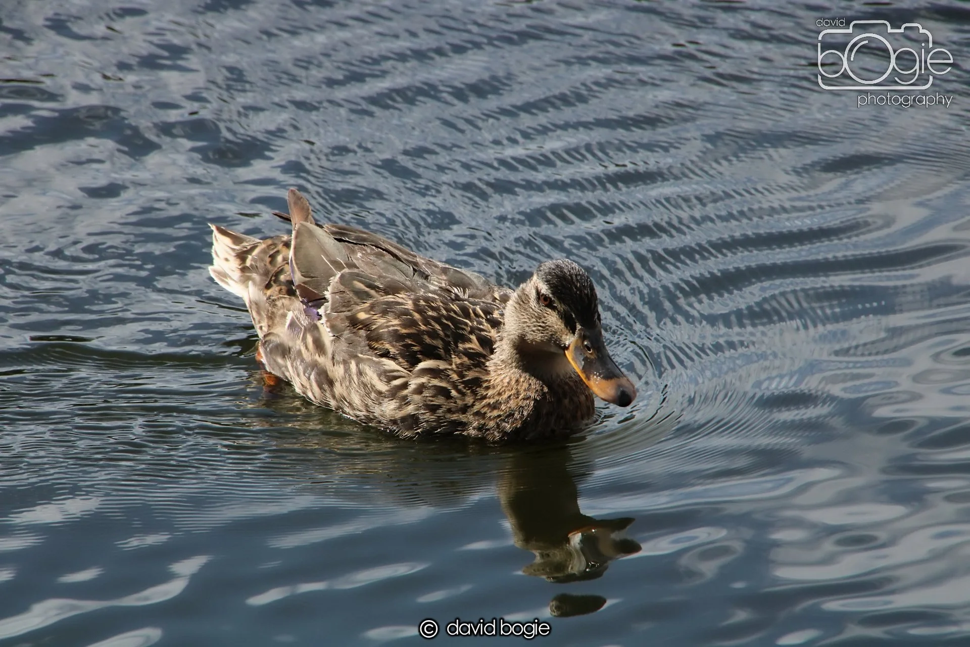 20240423 114328 Beveridge 0039.JPG