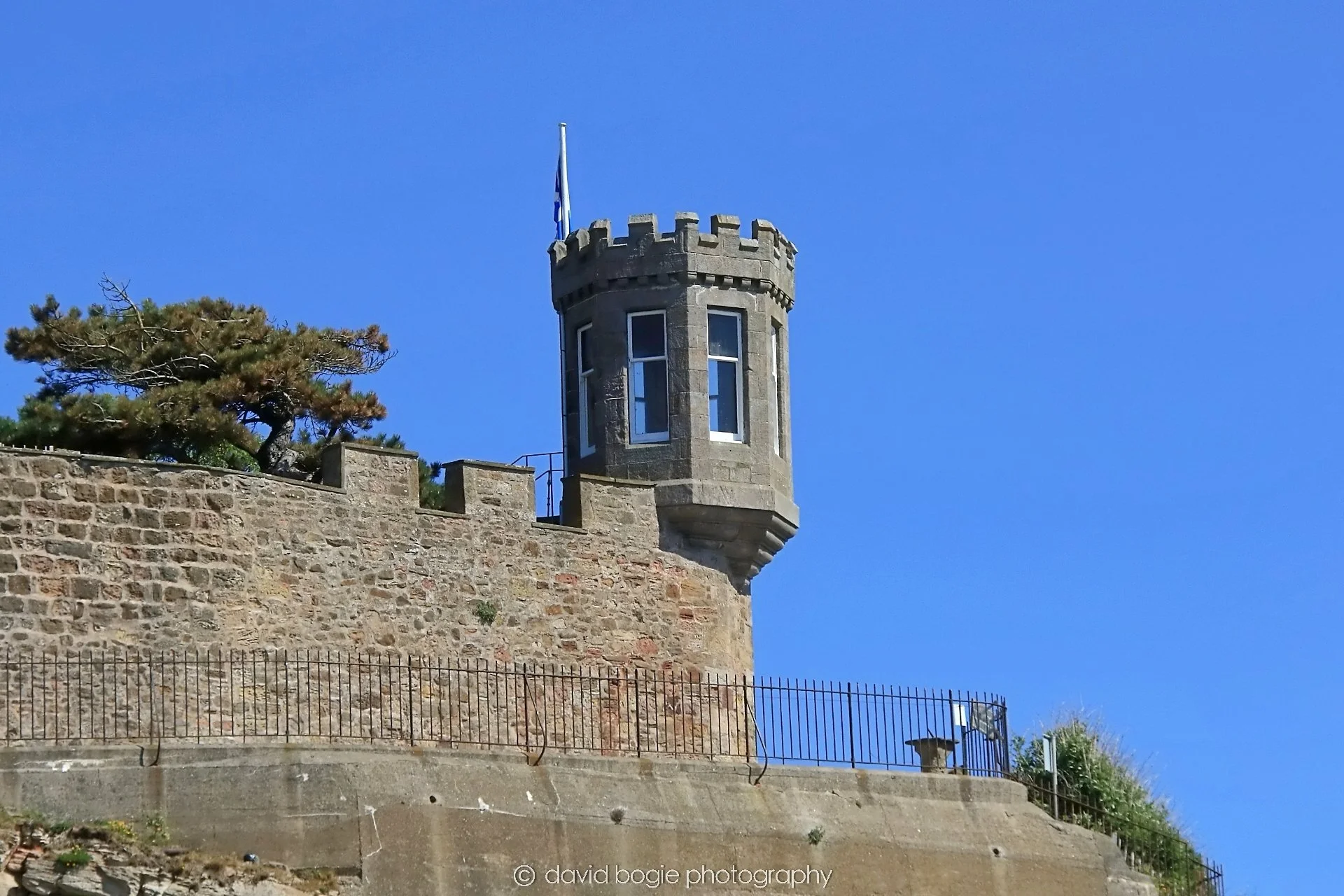 YEAR20250509 120918 Crail 0232.jpg