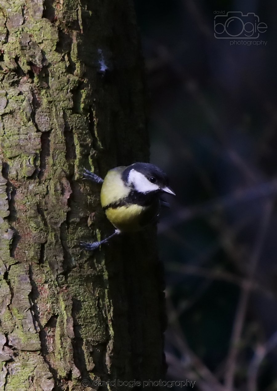 20260308 143534 Dunnikier 0037.jpg