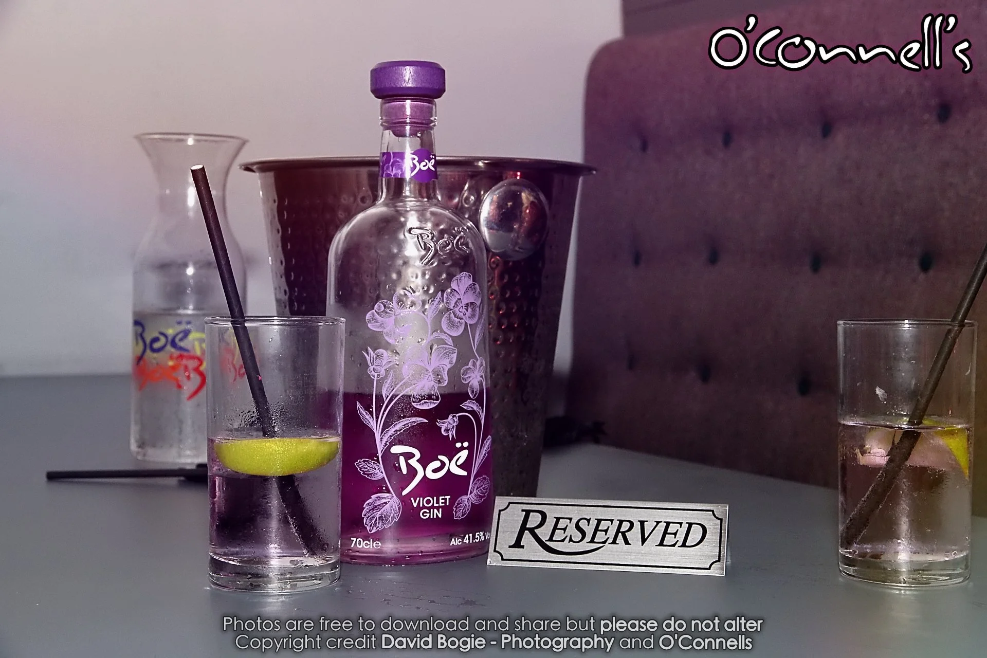 20221126 OConnells 00037.jpg