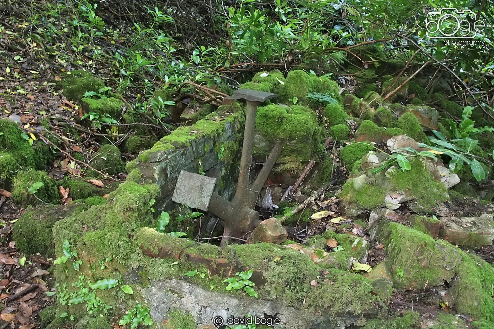 20210716 171956 Dunmore 0029  .JPG