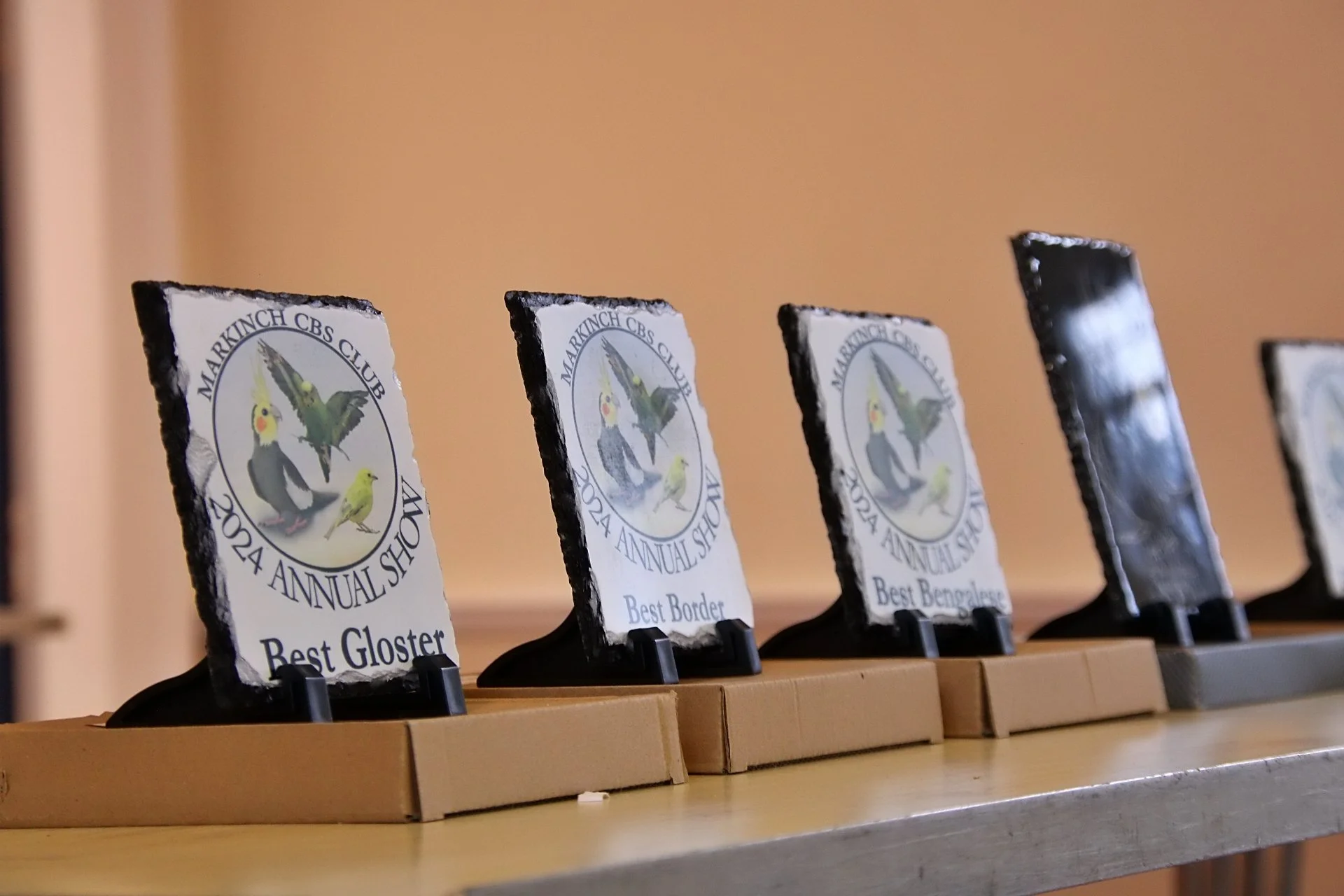 20241103 144613 MCBS Show 0776.JPG