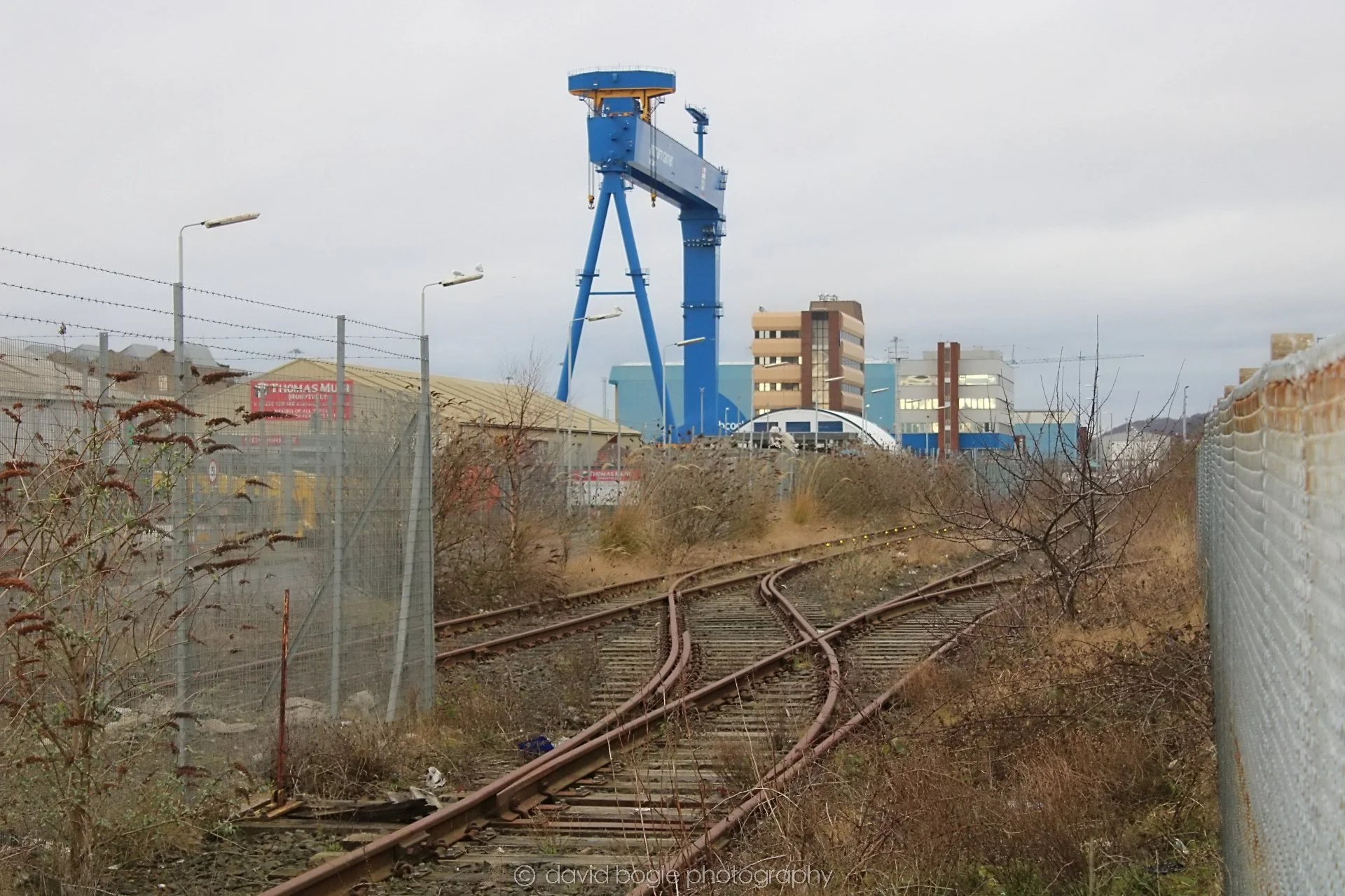 20190221 093214 Rosyth 0003.jpg