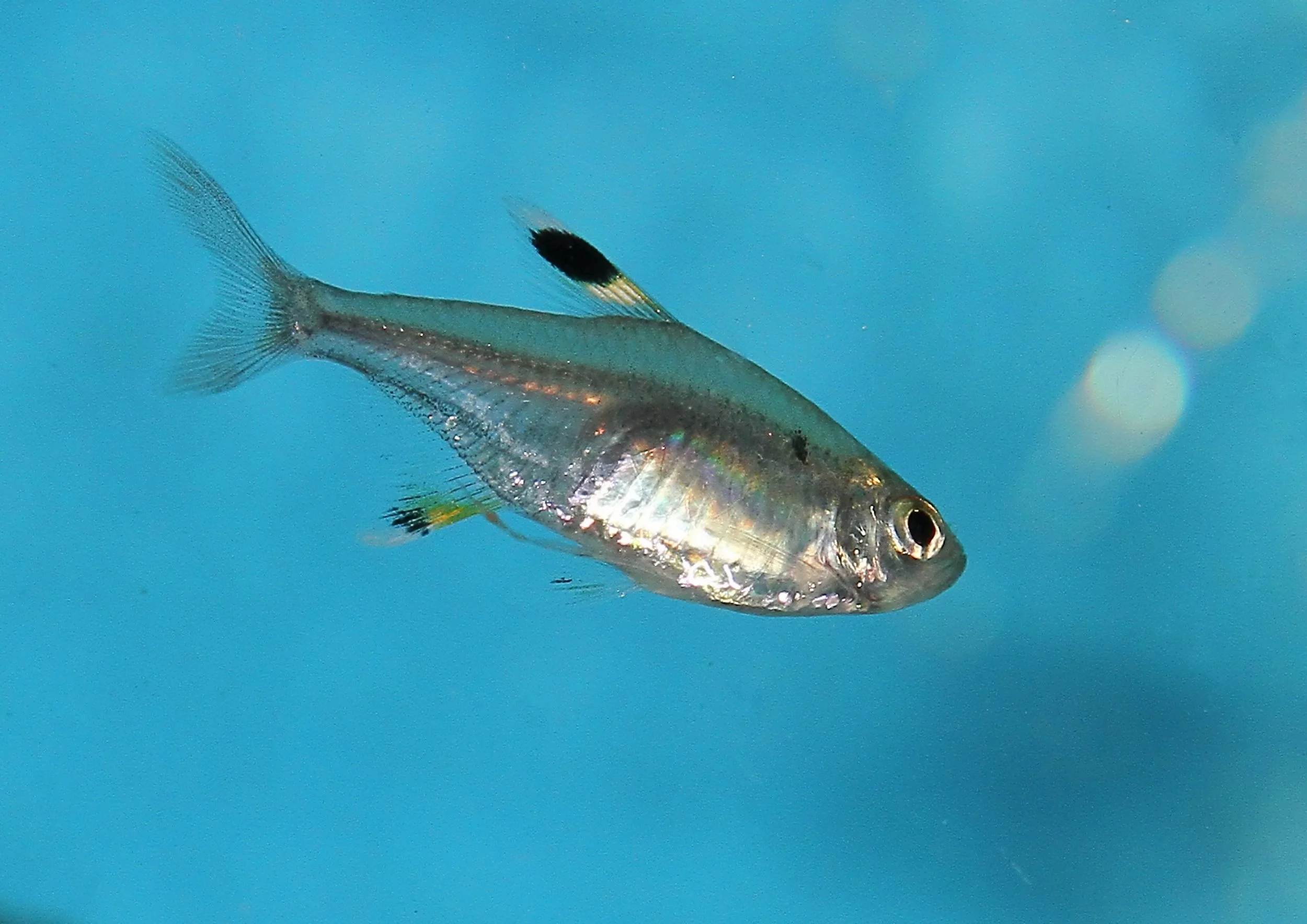 20260403 141743 IMG_0165.jpg