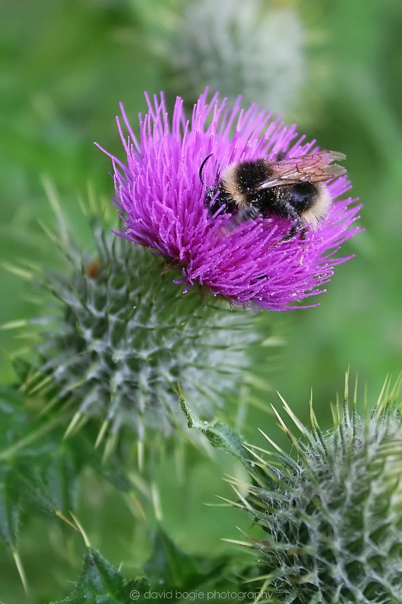 20210720 124500 Methil 0110.jpg