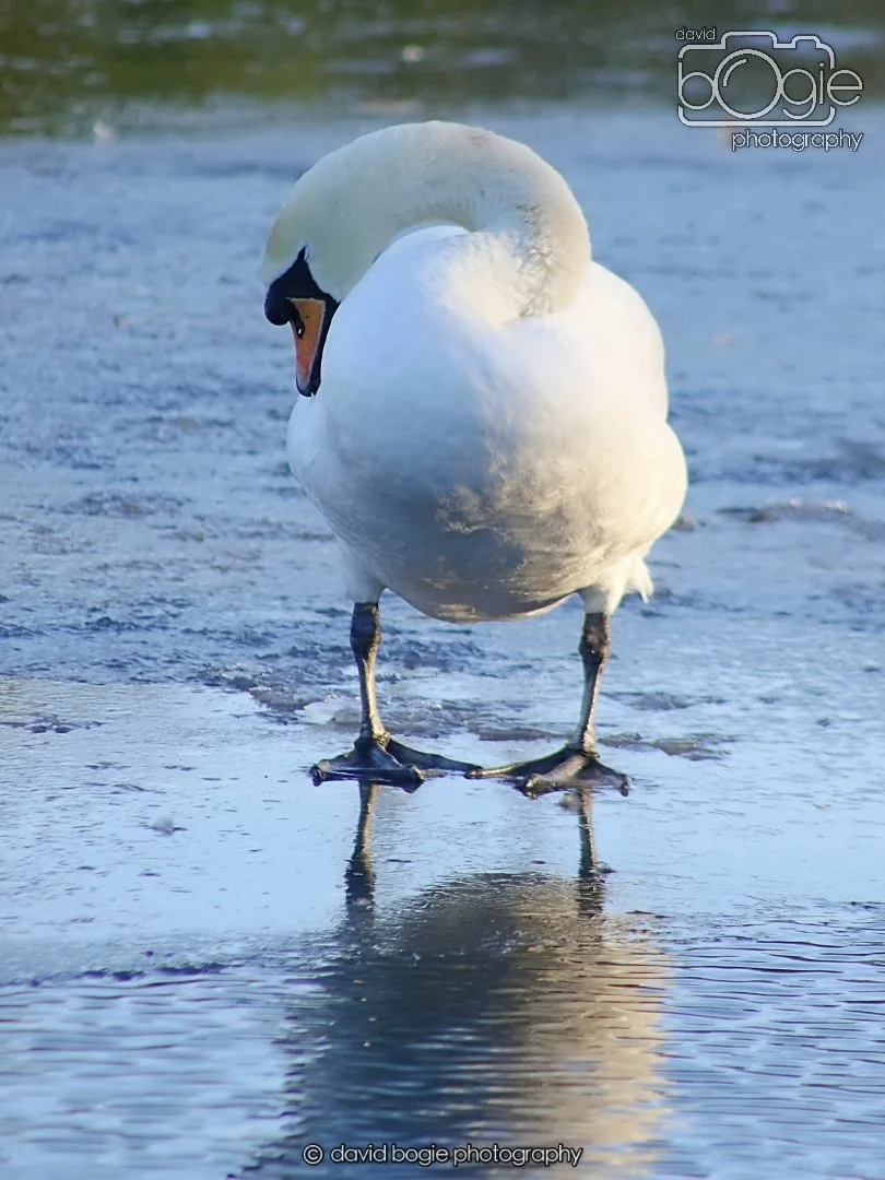 20260103 112306 Beveridge Park 0057.JPG