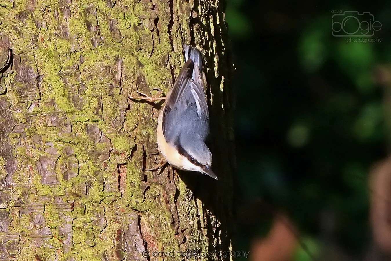 20260128 132513 Dunnikier 0173.jpg