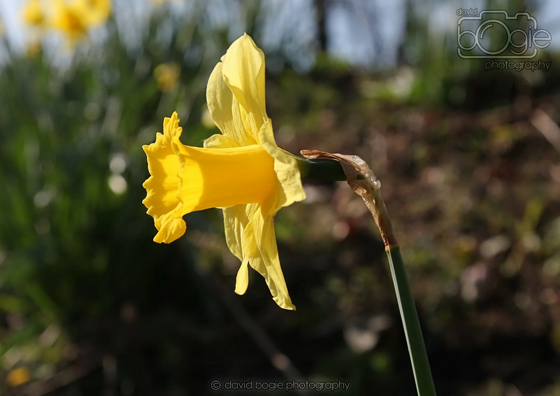 20260319 115403 Beveridge Park 0130.jpg