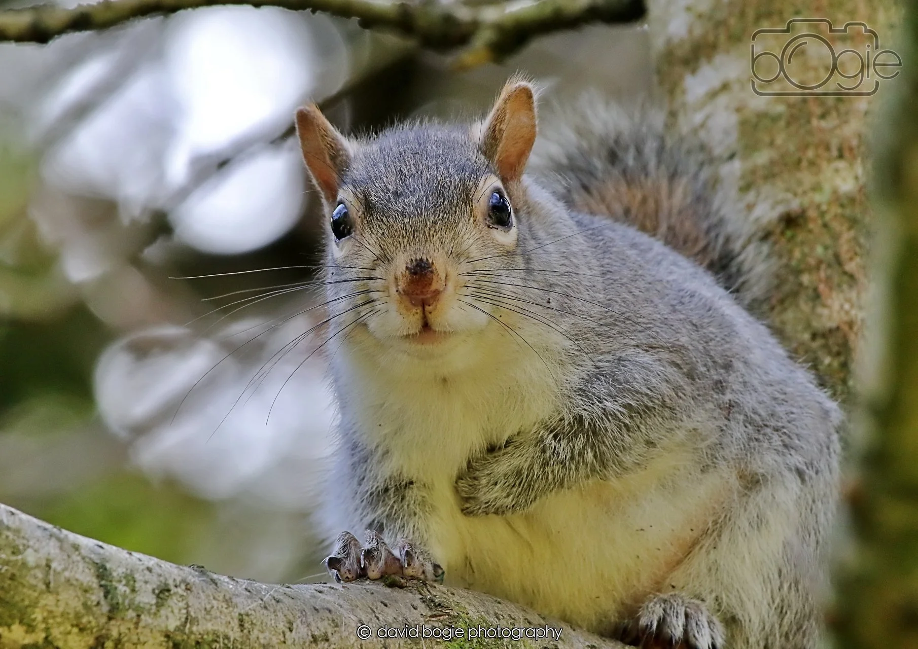 20260402 122927 Ravenscraig 0381.jpg