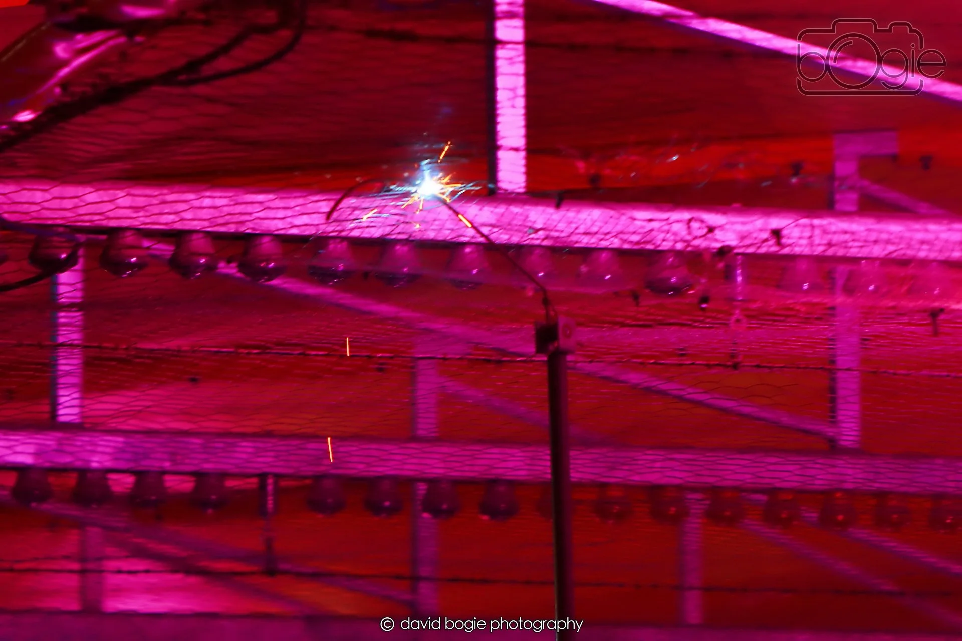 20260416 194346 Links Market0432.jpg