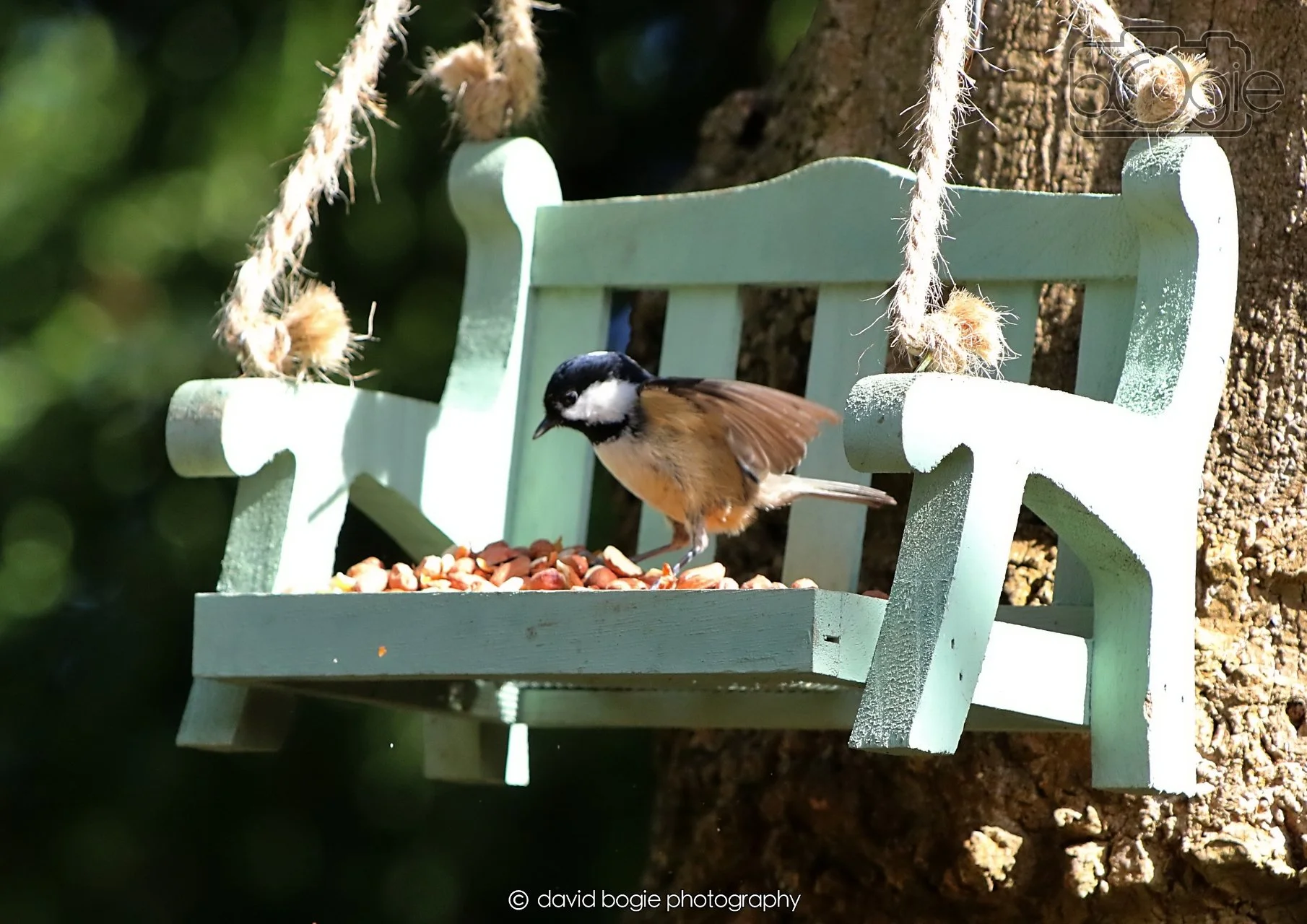 20260403 121811 Dunnikier 0114.jpg