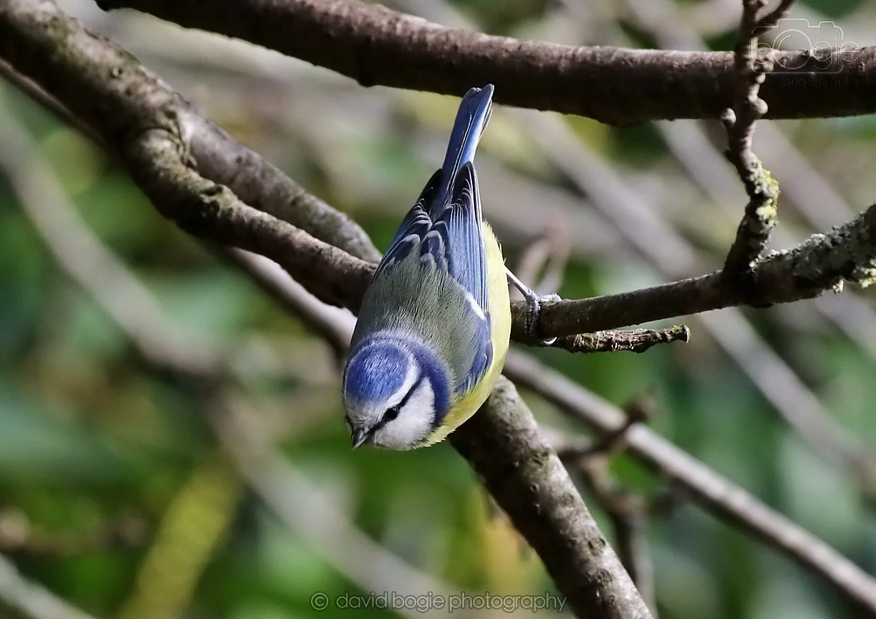 20260314 142819 Silverburn 0261.jpg