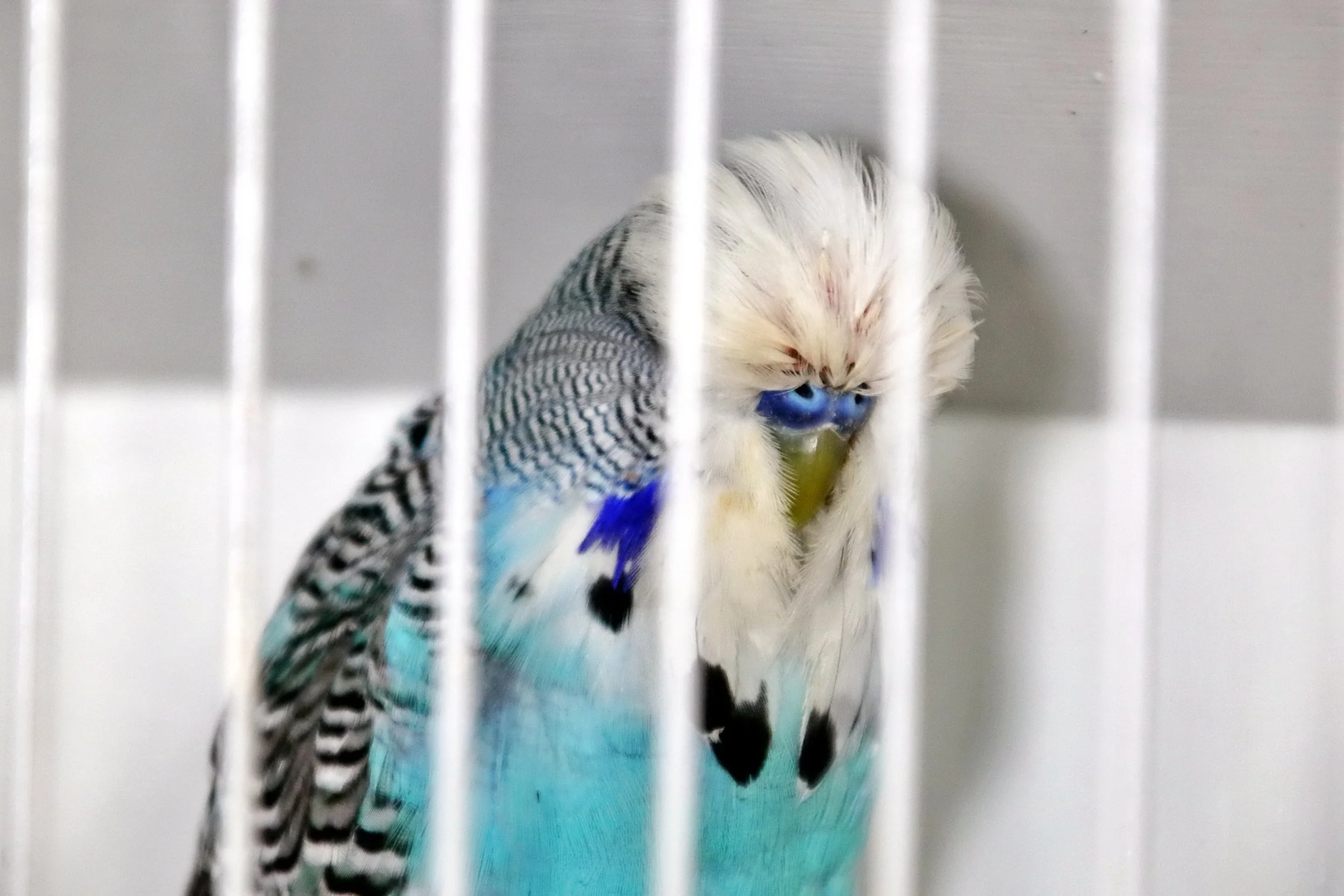 20251102 124829 Markinch CBS  0552.JPG