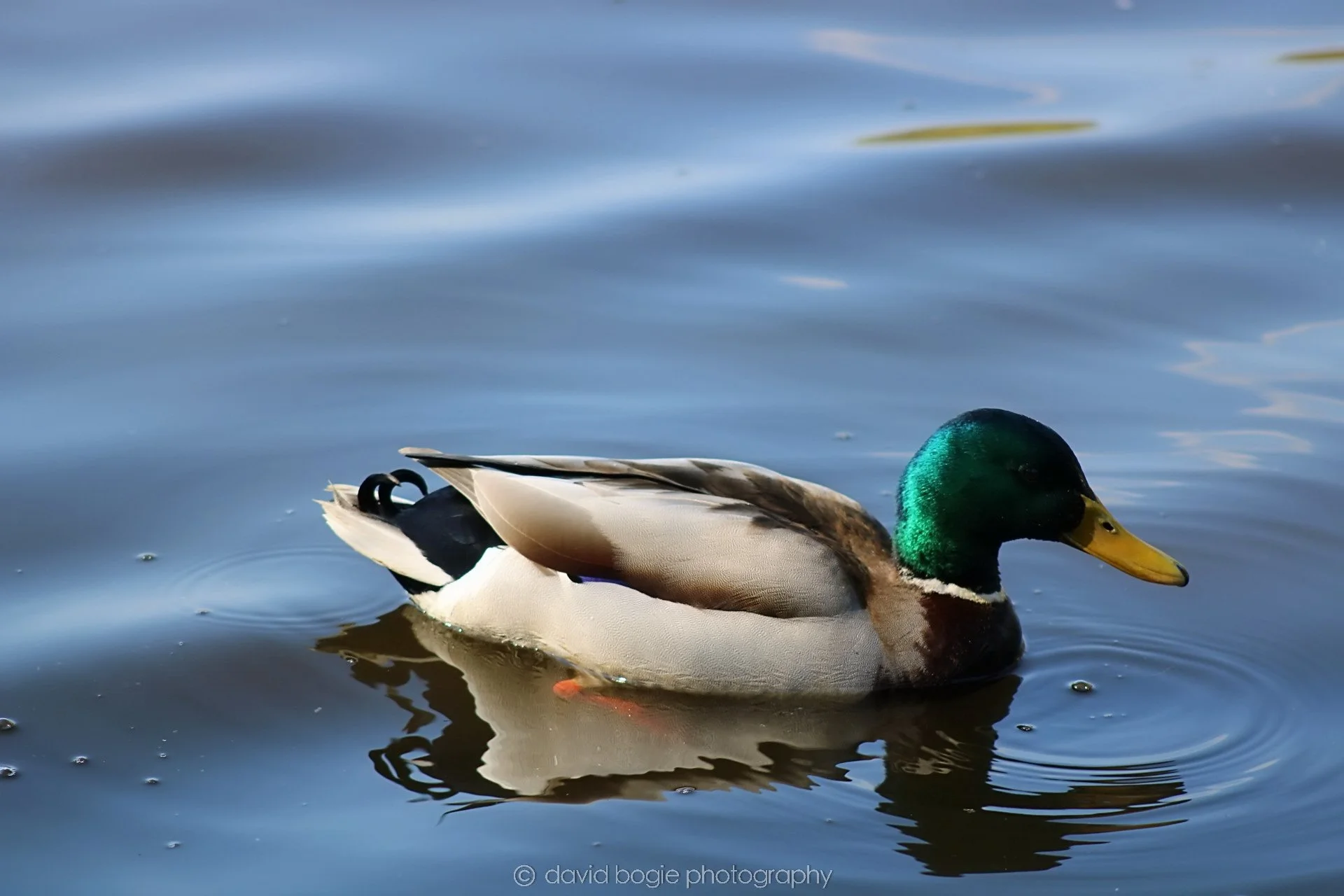 20190411 111322 Otterston 0012.jpg