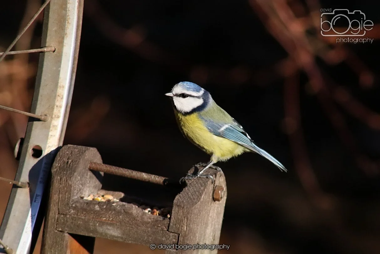 20251231 134344 Silverburn 0206.JPG