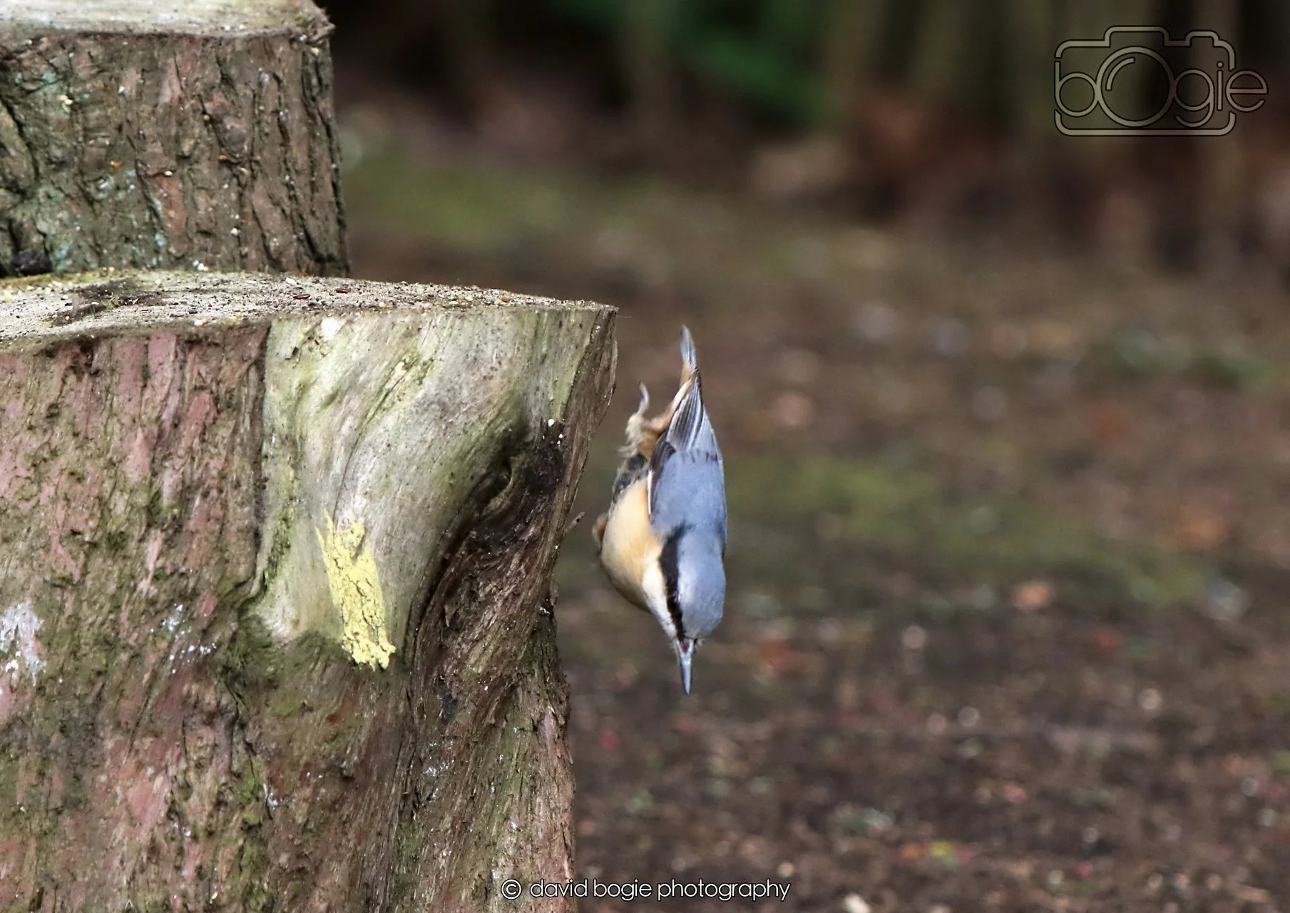 20260330 120145 Dunnikier 0354.jpg