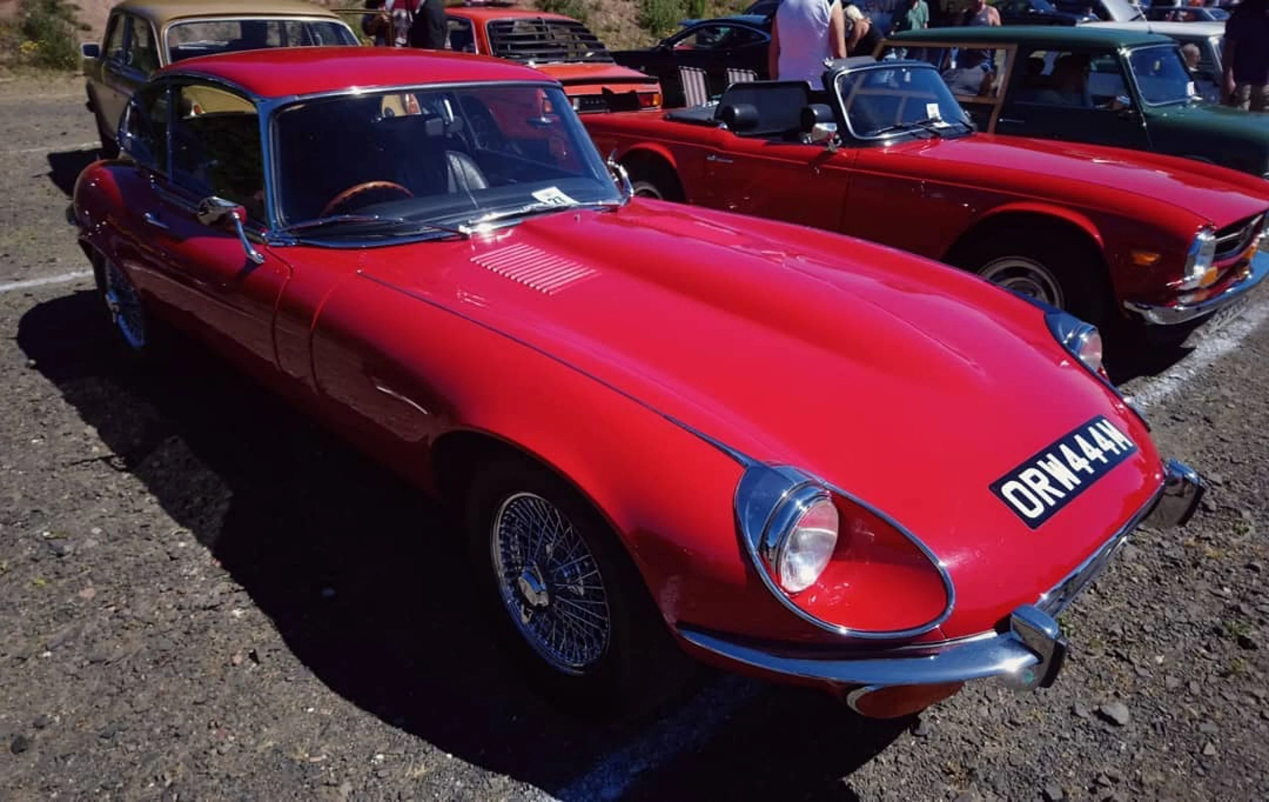 20180624 Leven Rally 0017.jpg