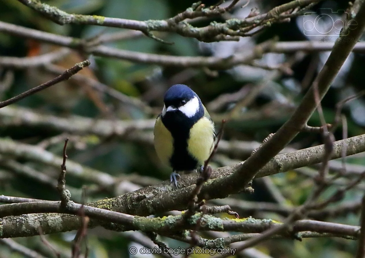 20260215 125902 Silverburn 0014.jpg